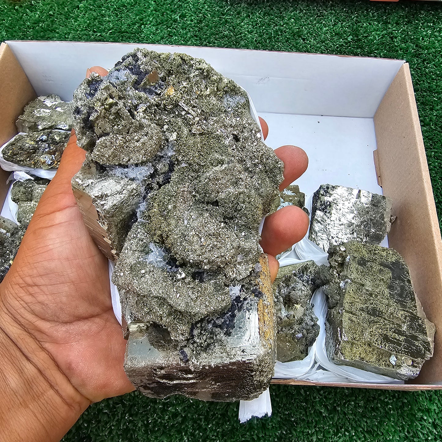 13 pc Pyrite Cubic with chalcopyrite