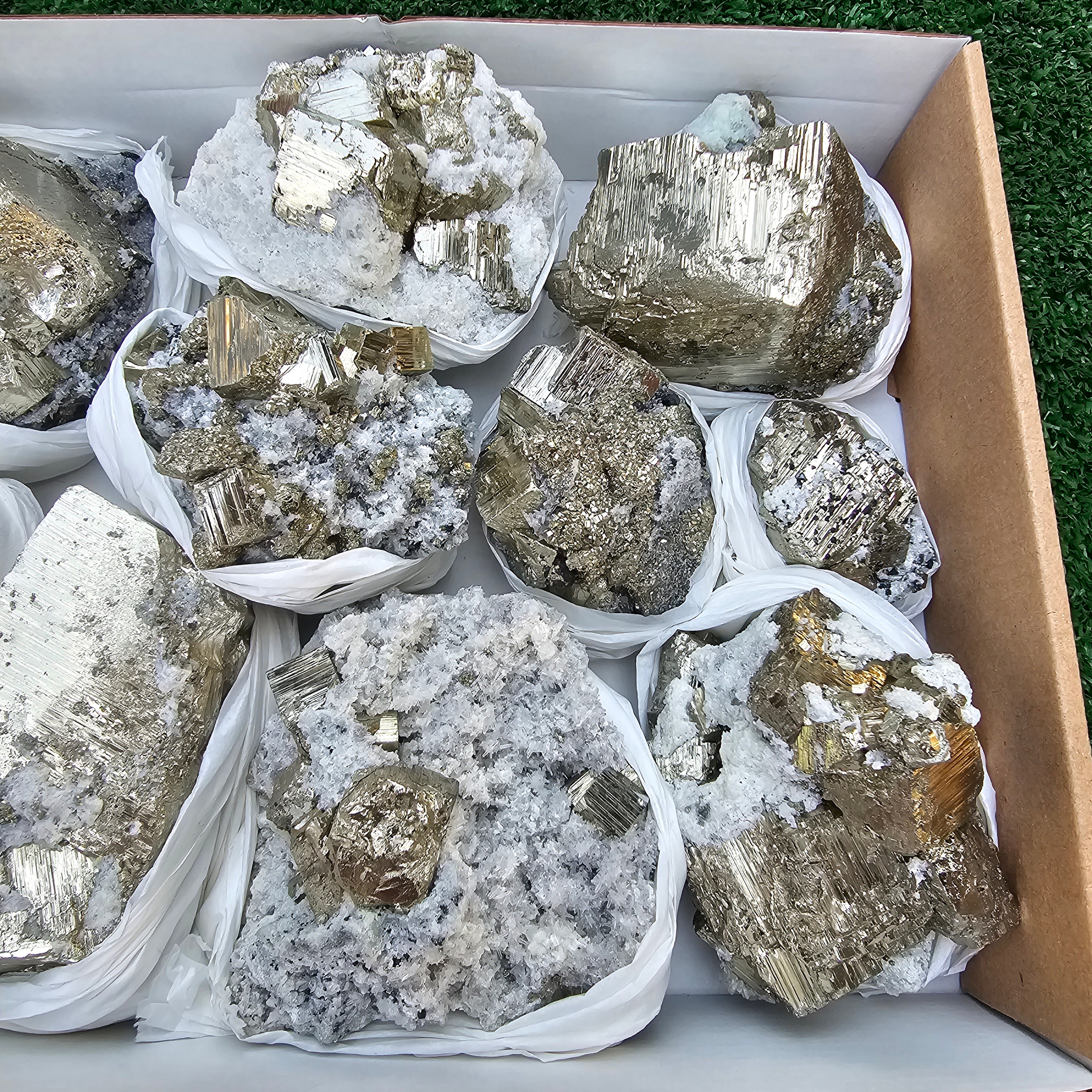 11 pc Pyrite Cubic with calcite flourecent