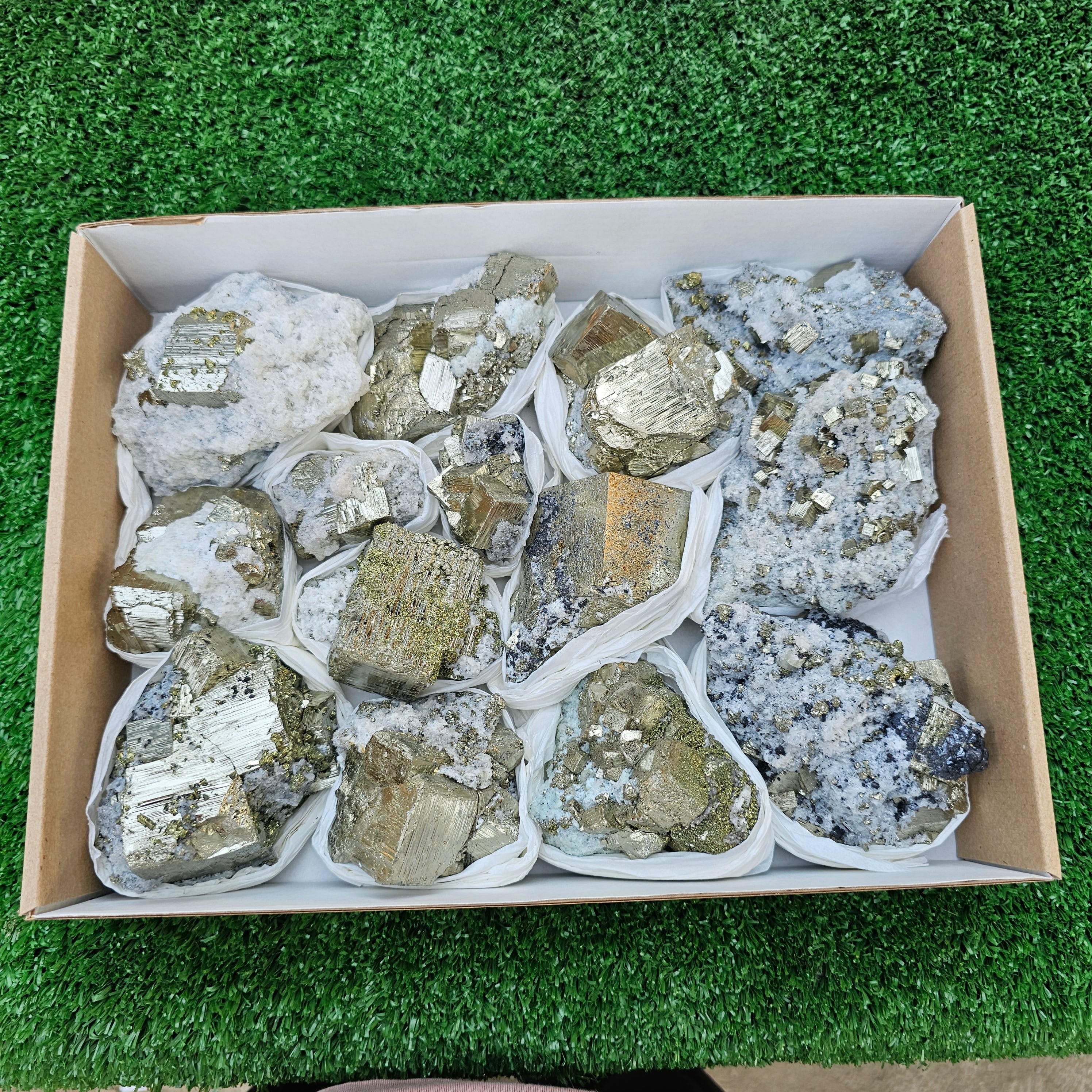 14 pc Pyrite Cubic with calcite flourecent