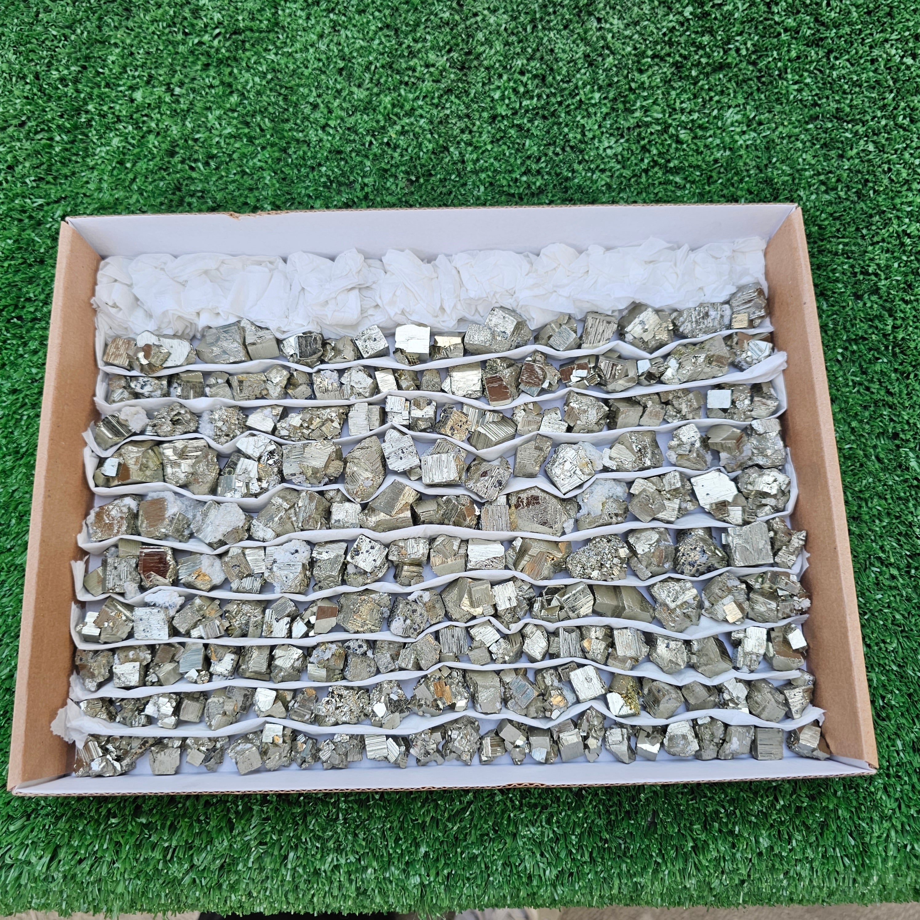 170 pc Pyrite Cubic