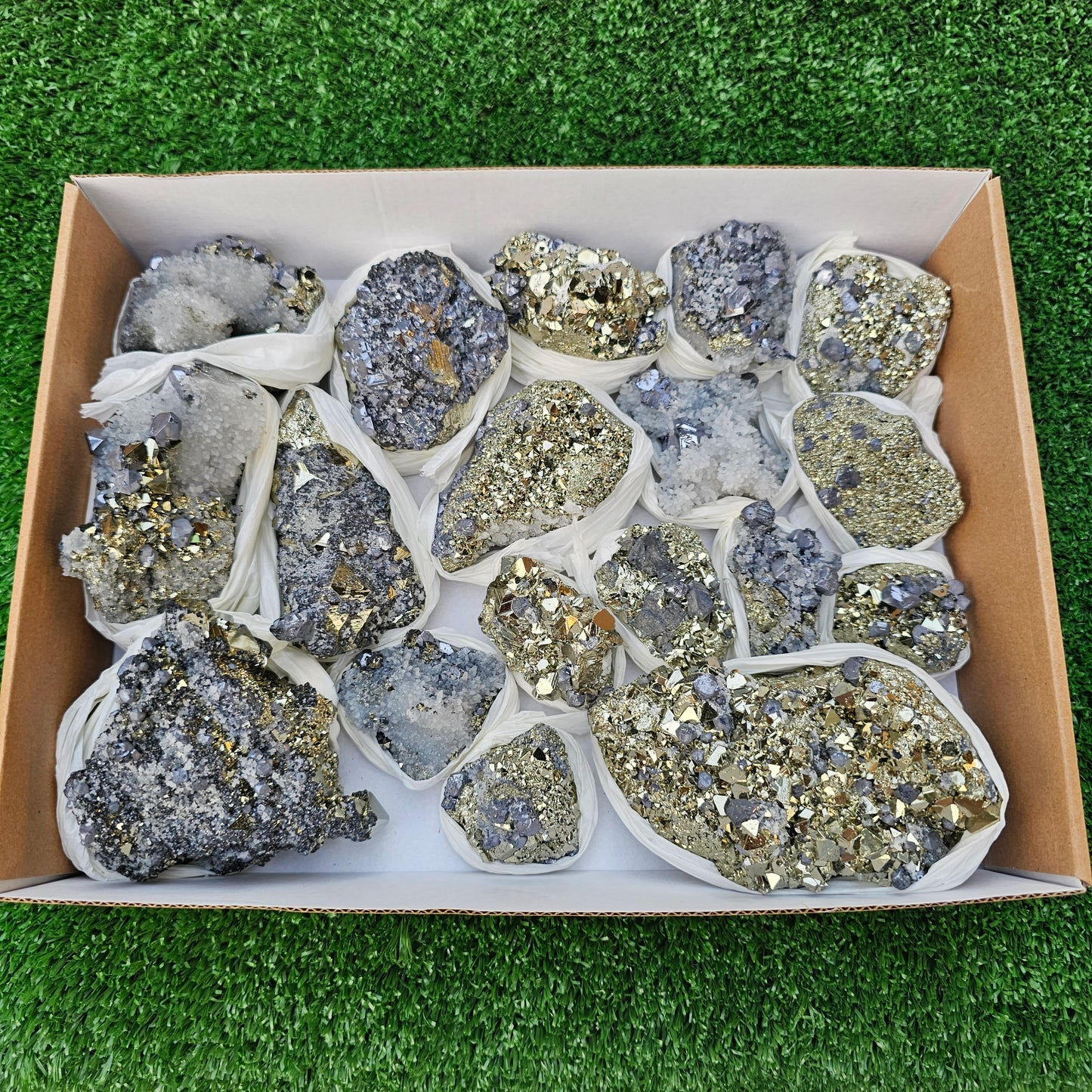 18 pc Galena crystals on octahedral pyrite