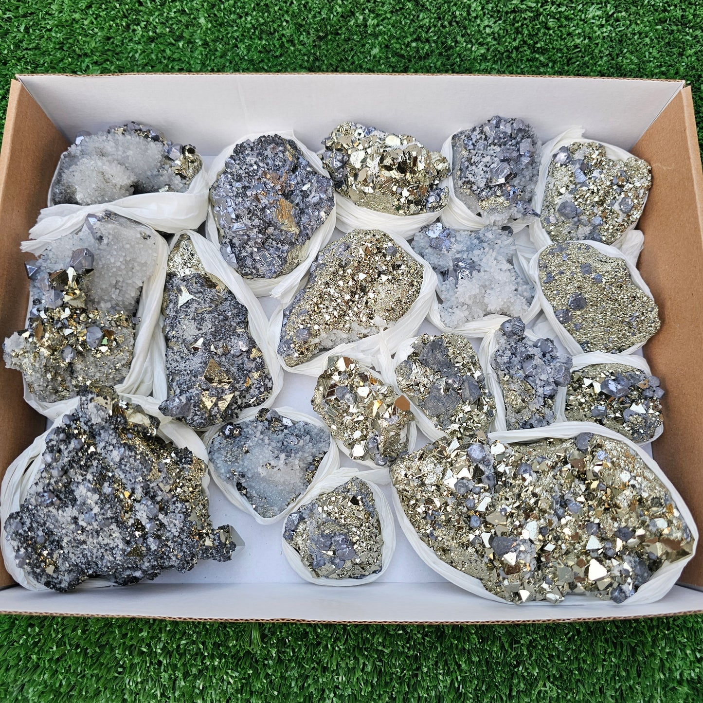 18 pc Galena crystals on octahedral pyrite