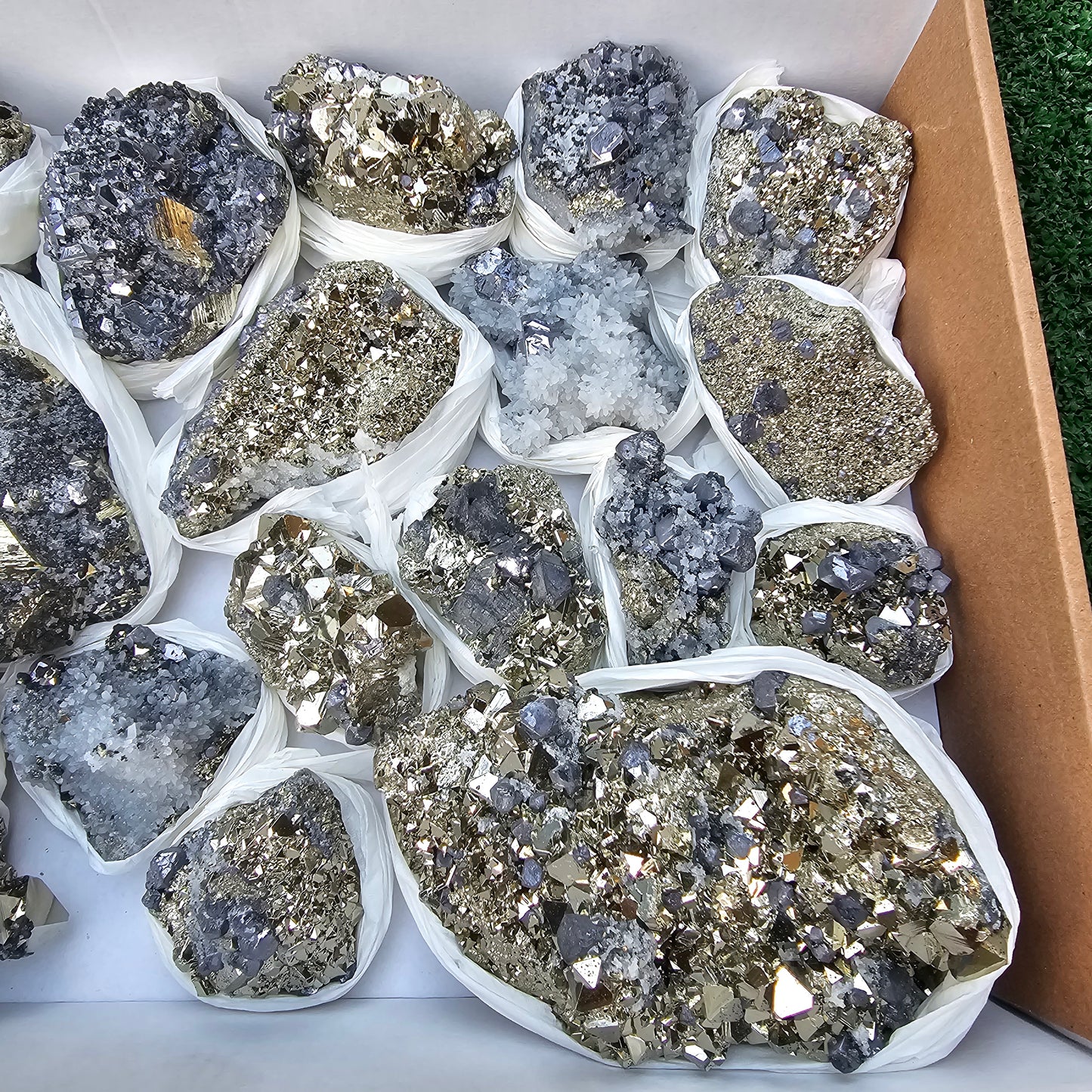 18 pc Galena crystals on octahedral pyrite