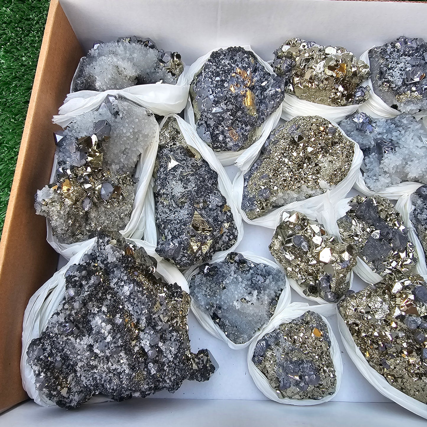 18 pc Galena crystals on octahedral pyrite