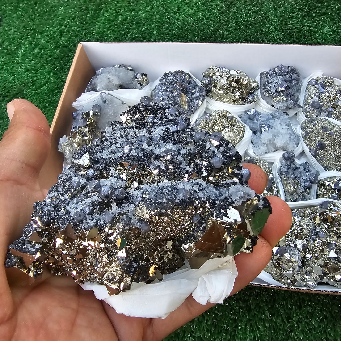 18 pc Galena crystals on octahedral pyrite
