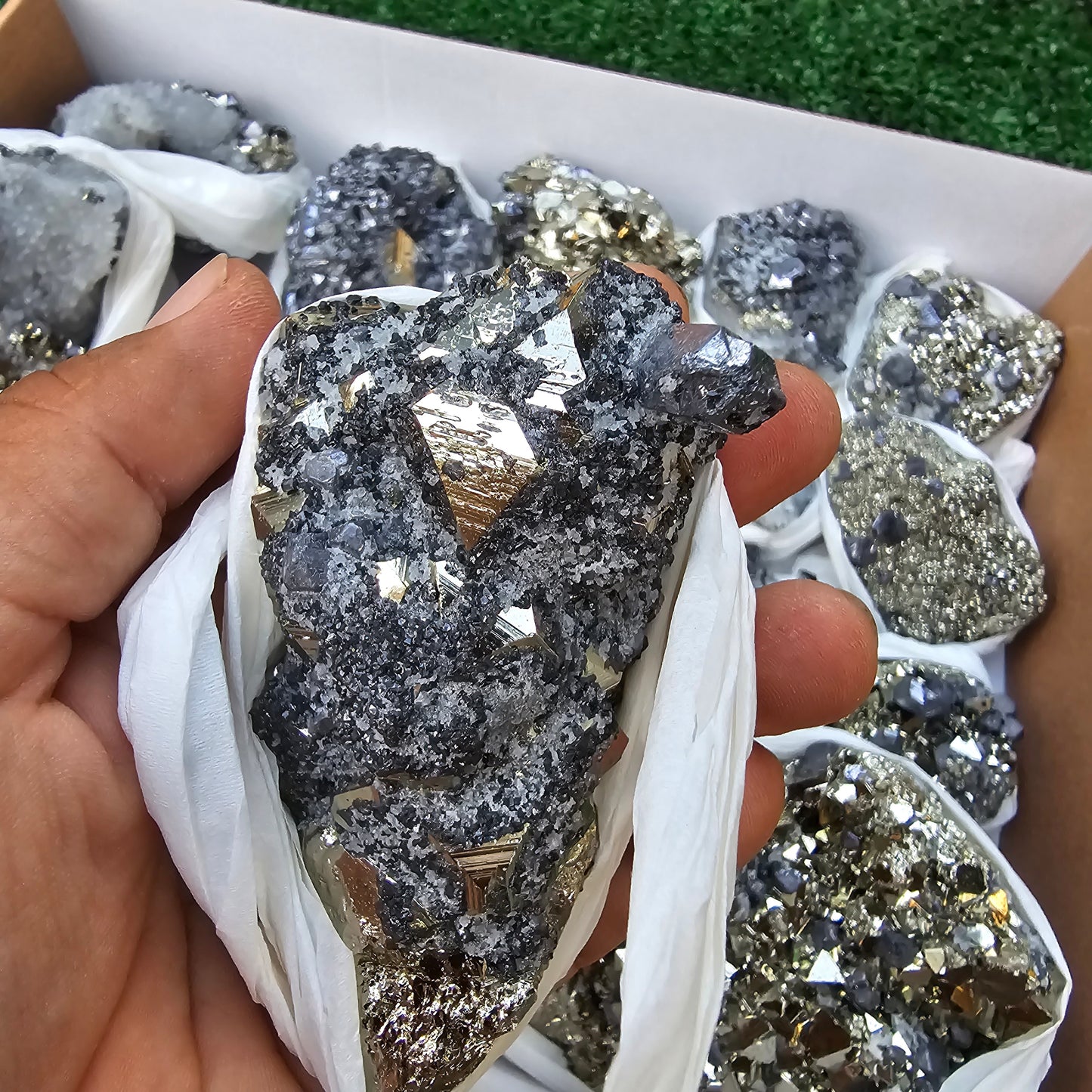 18 pc Galena crystals on octahedral pyrite