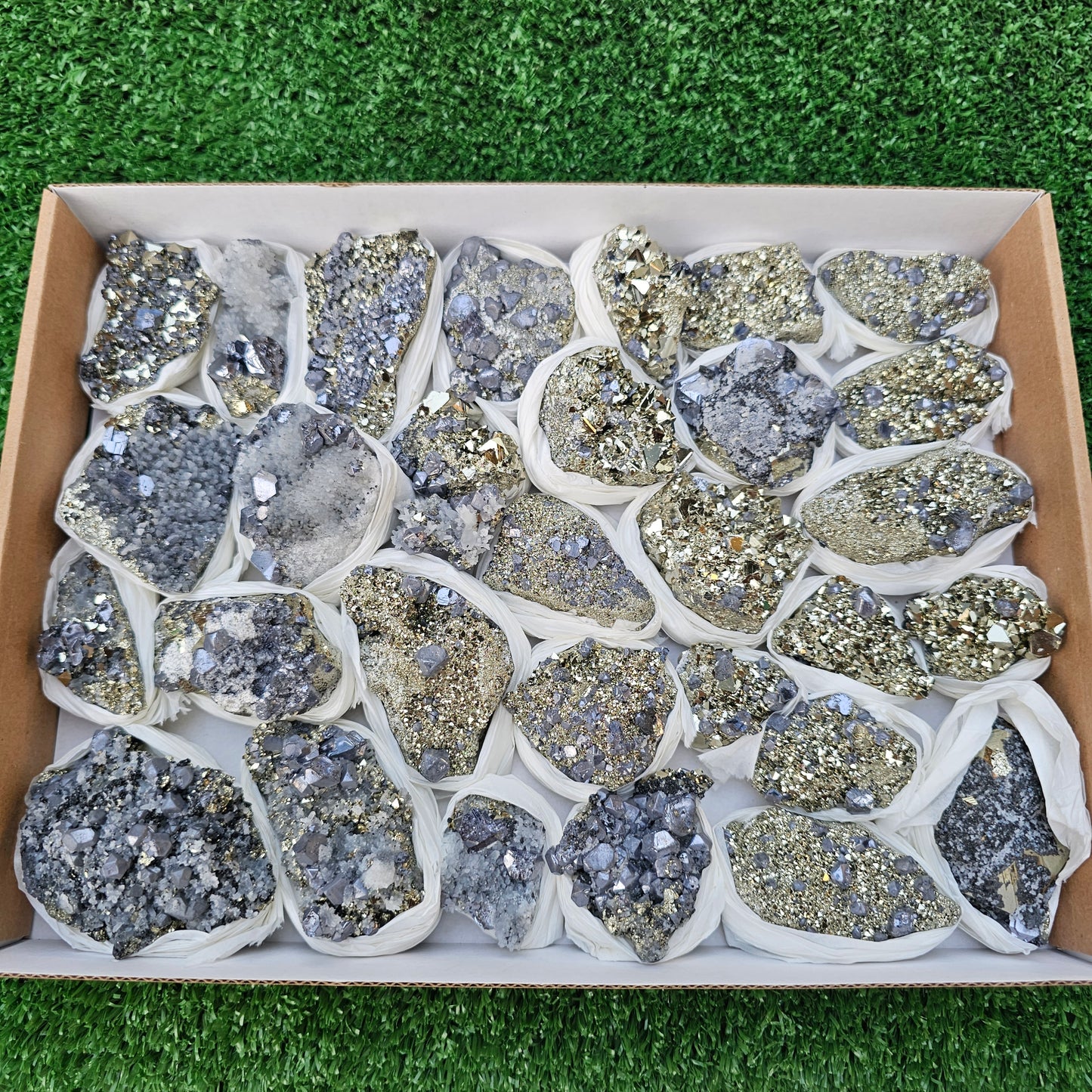 30 pc Galena crystals on octahedral pyrite