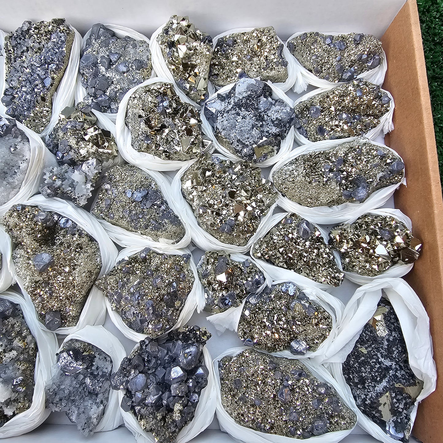 30 pc Galena crystals on octahedral pyrite