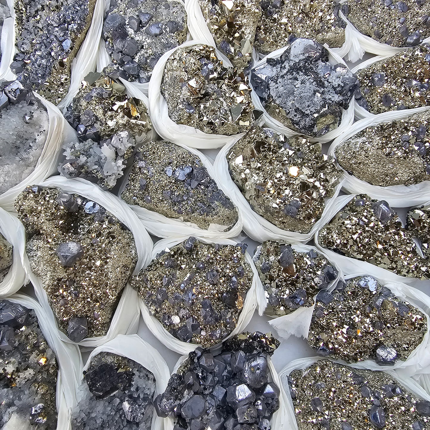 30 pc Galena crystals on octahedral pyrite