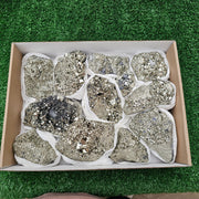 12 pc pyrite octahedral