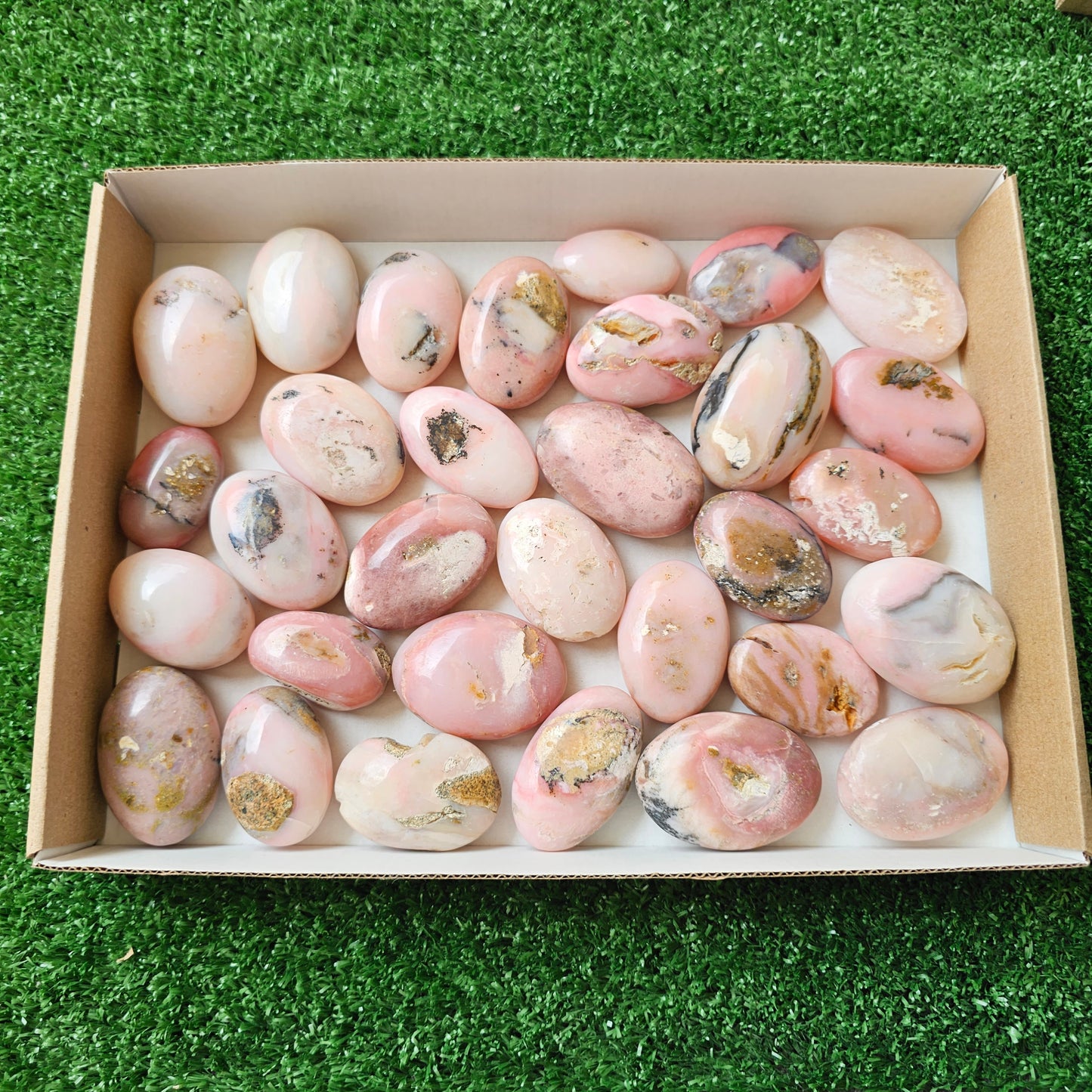 31 pc pink opal palms