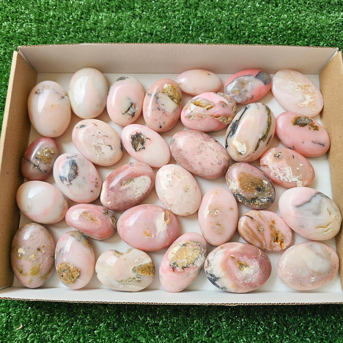 31 pc pink opal palms