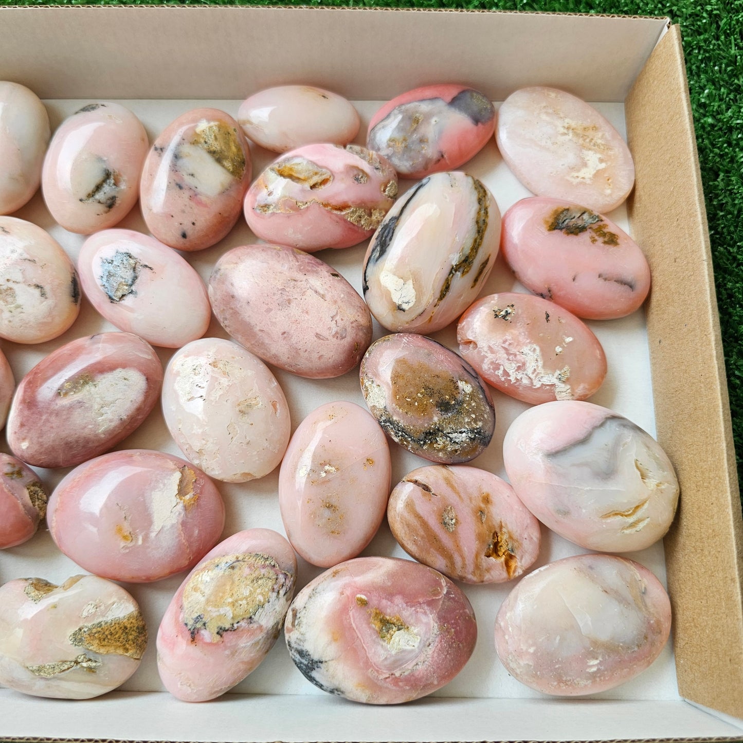 31 pc pink opal palms