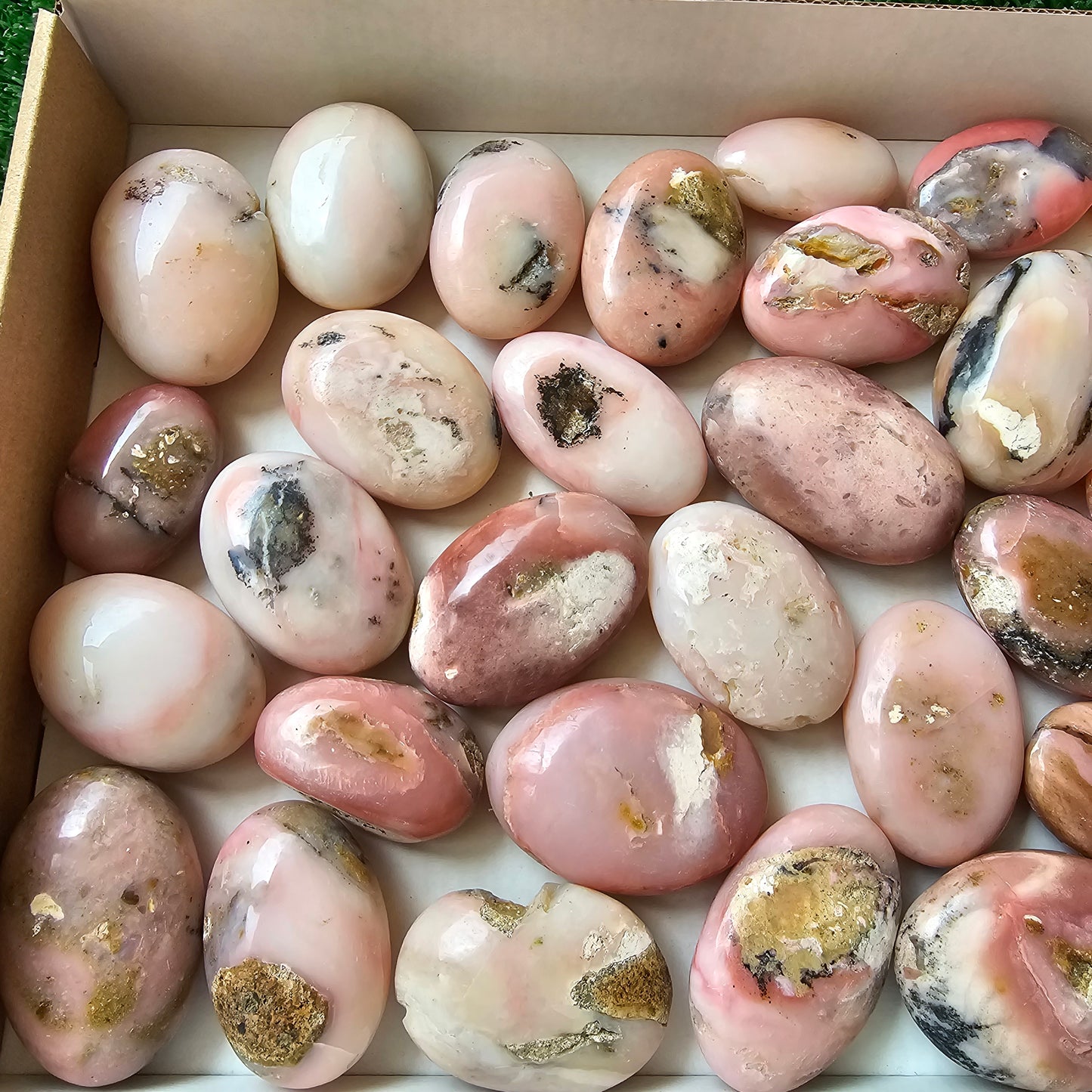 31 pc pink opal palms