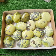 17 pc green serpentine palms