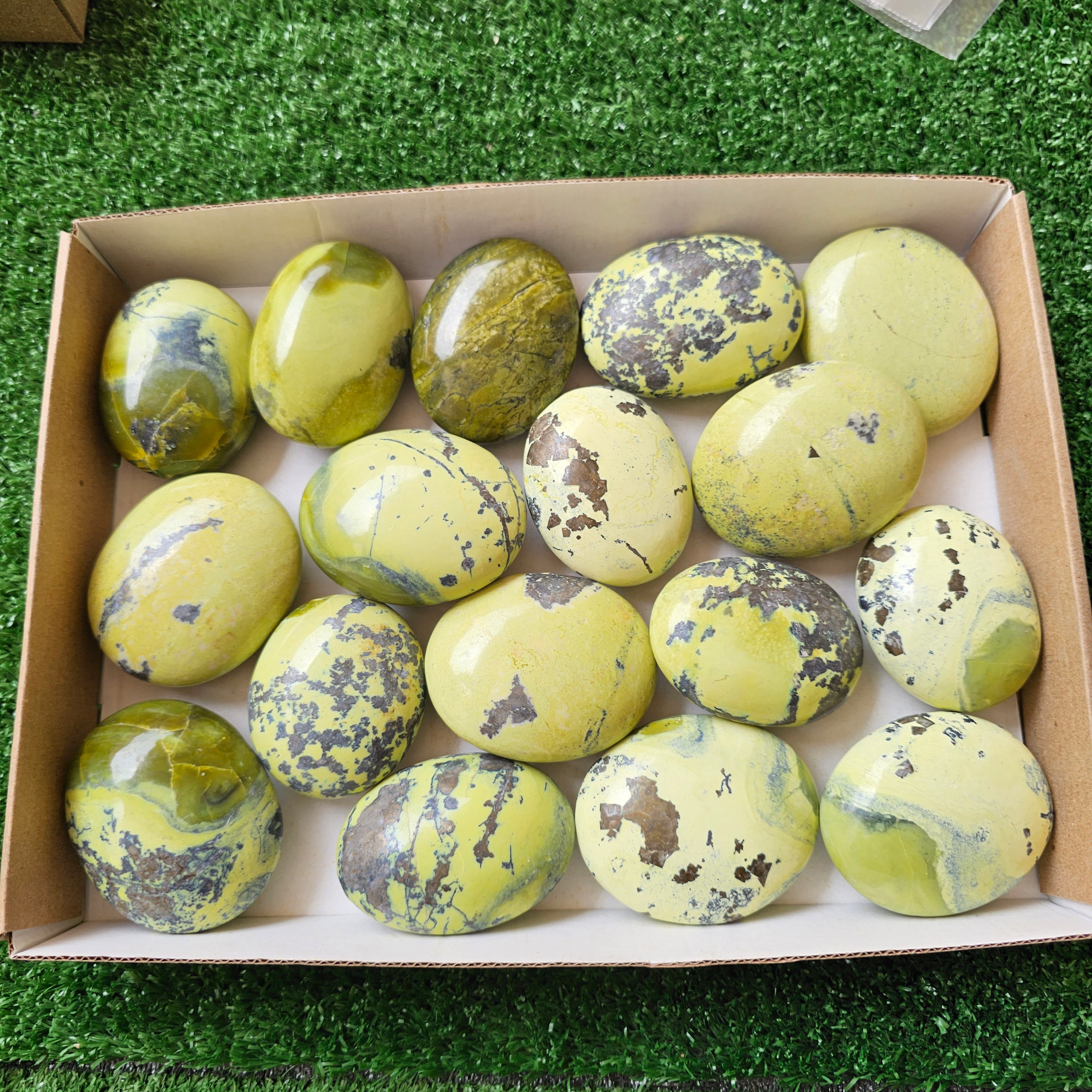 17 pc green serpentine palms