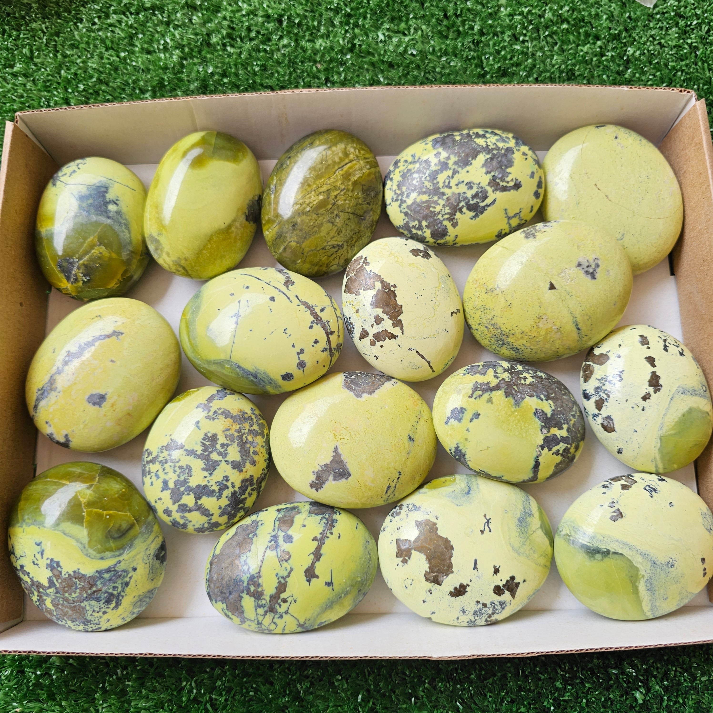 17 pc green serpentine palms