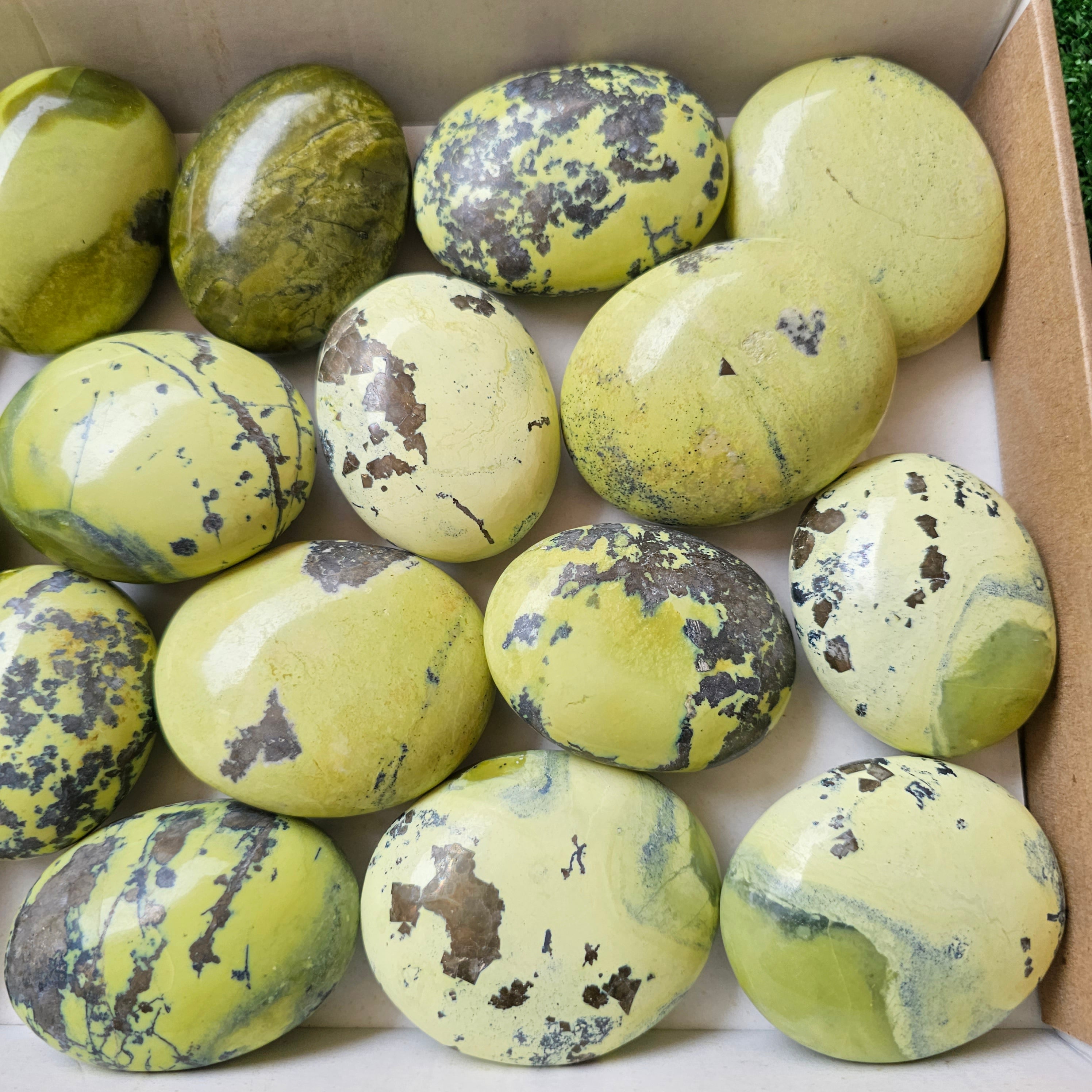 17 pc green serpentine palms