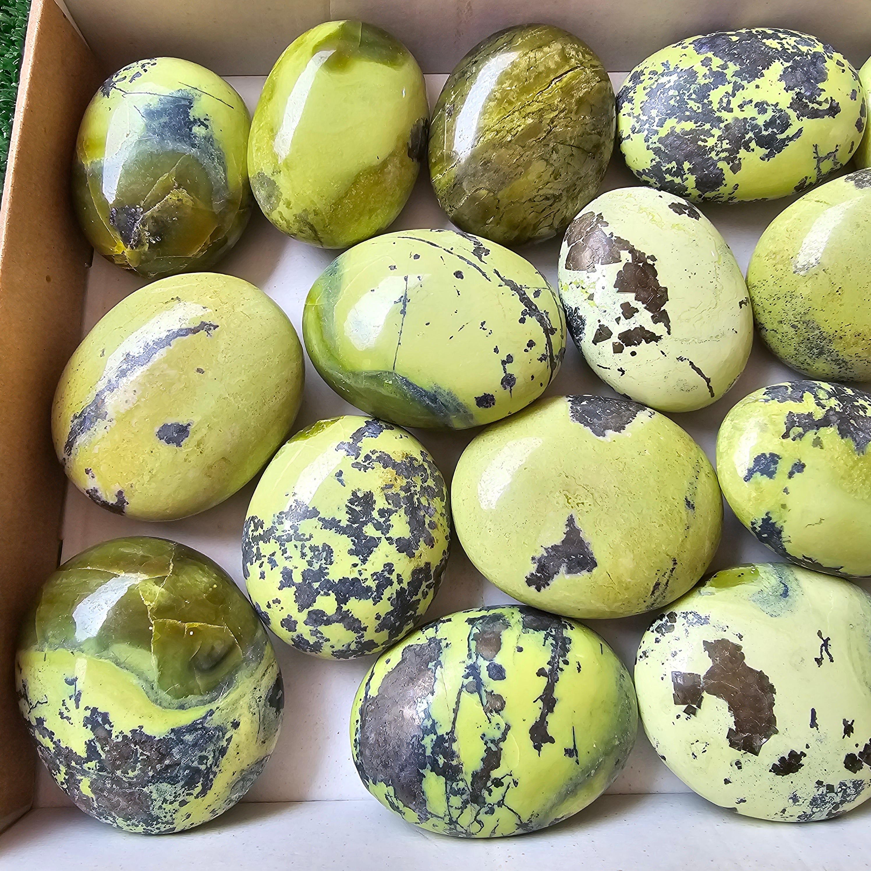 17 pc green serpentine palms