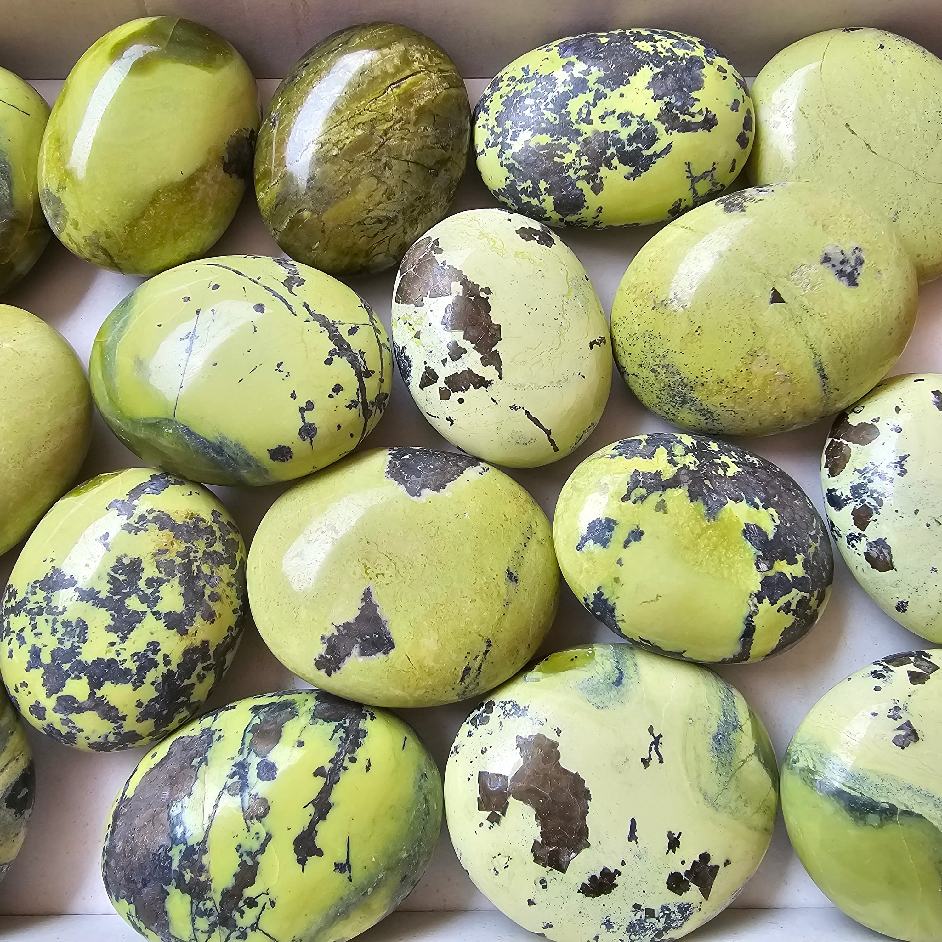 17 pc green serpentine palms