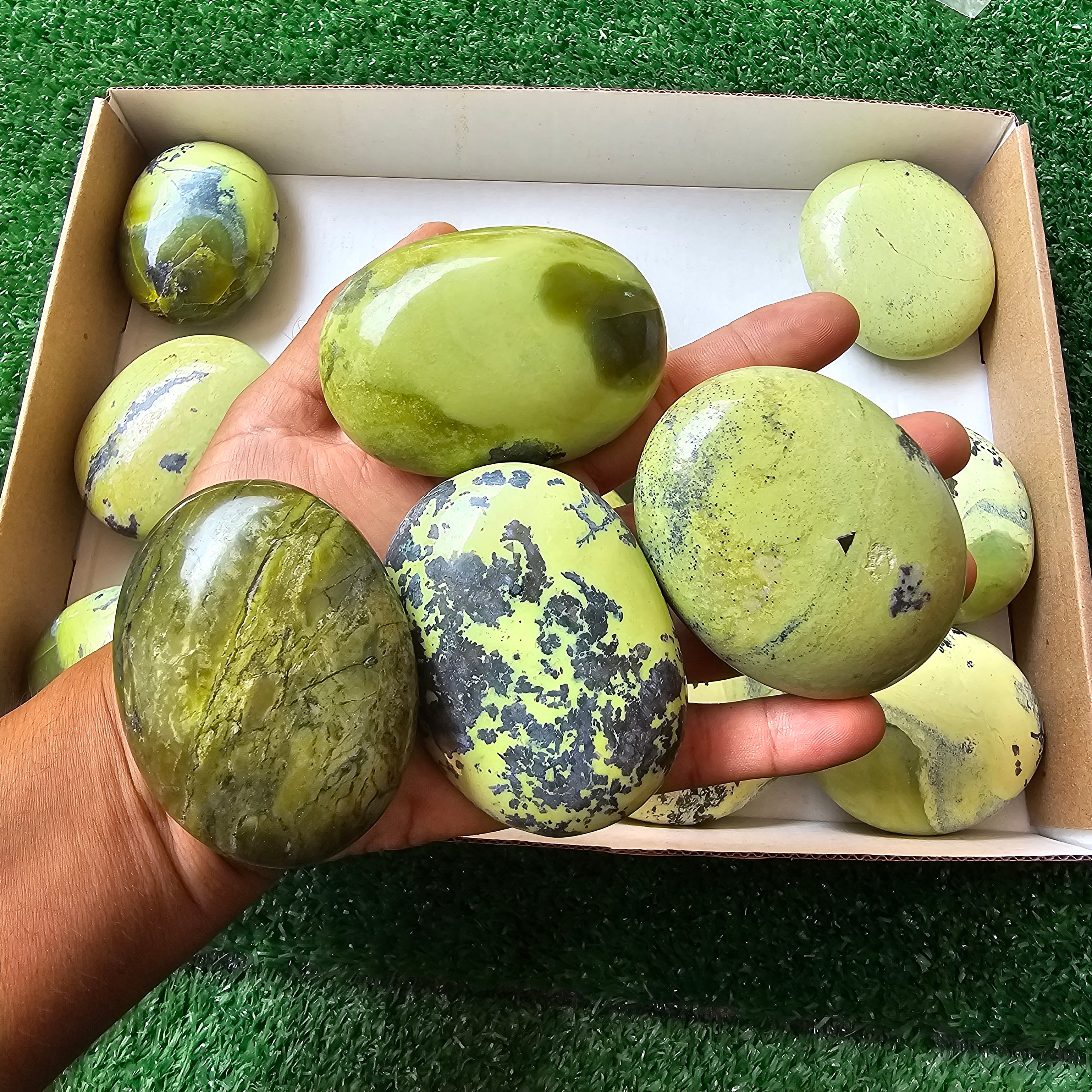 17 pc green serpentine palms