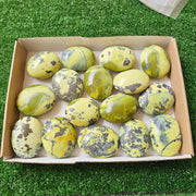 16 pc green serpentine palms