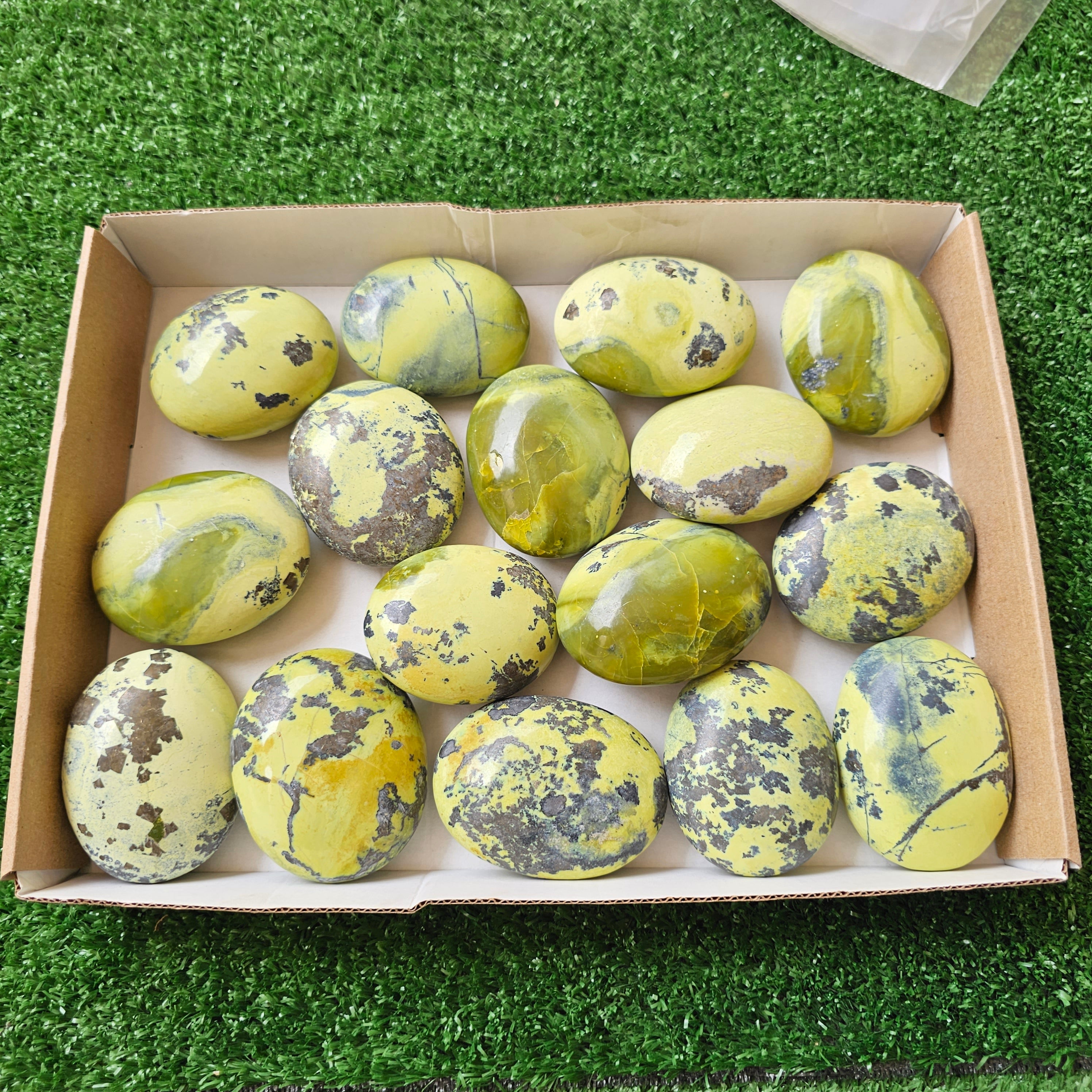 16 pc green serpentine palms