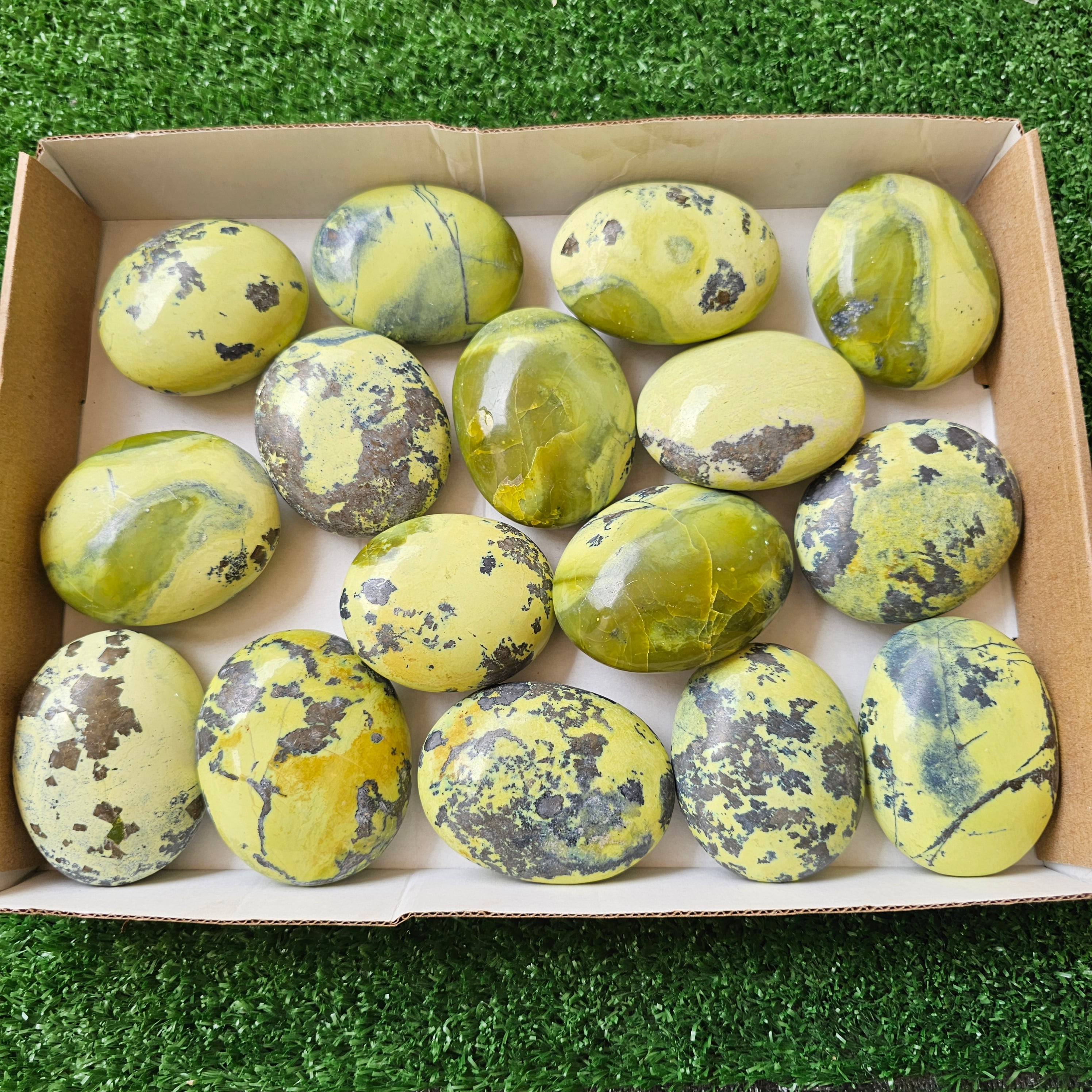 16 pc green serpentine palms