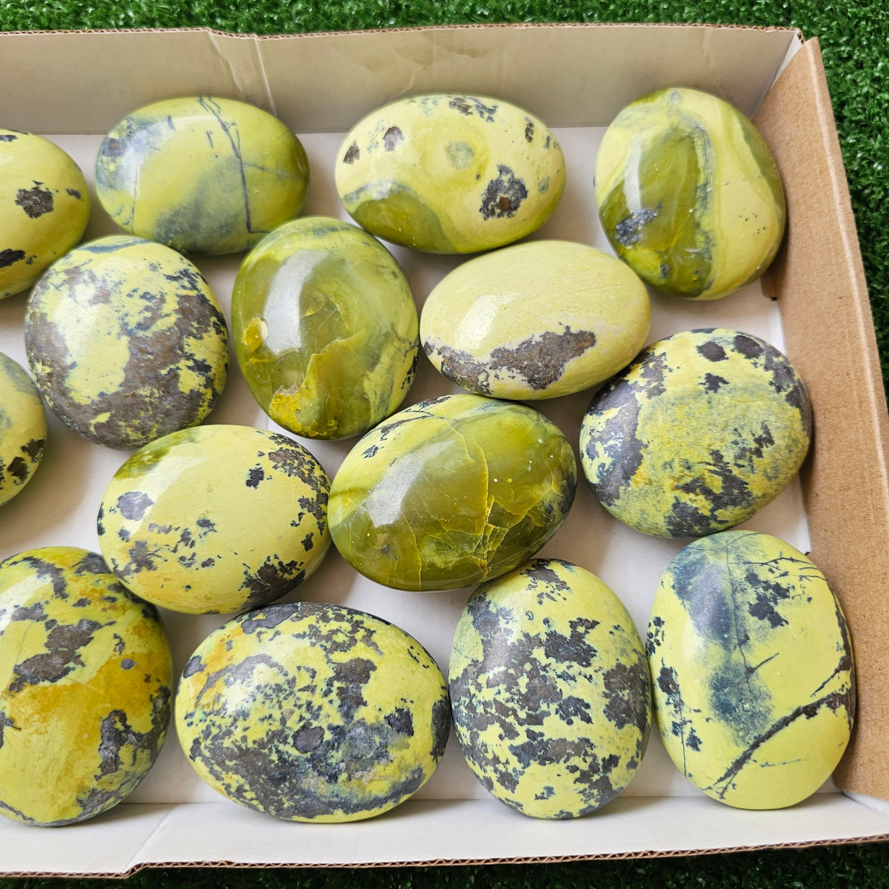 16 pc green serpentine palms