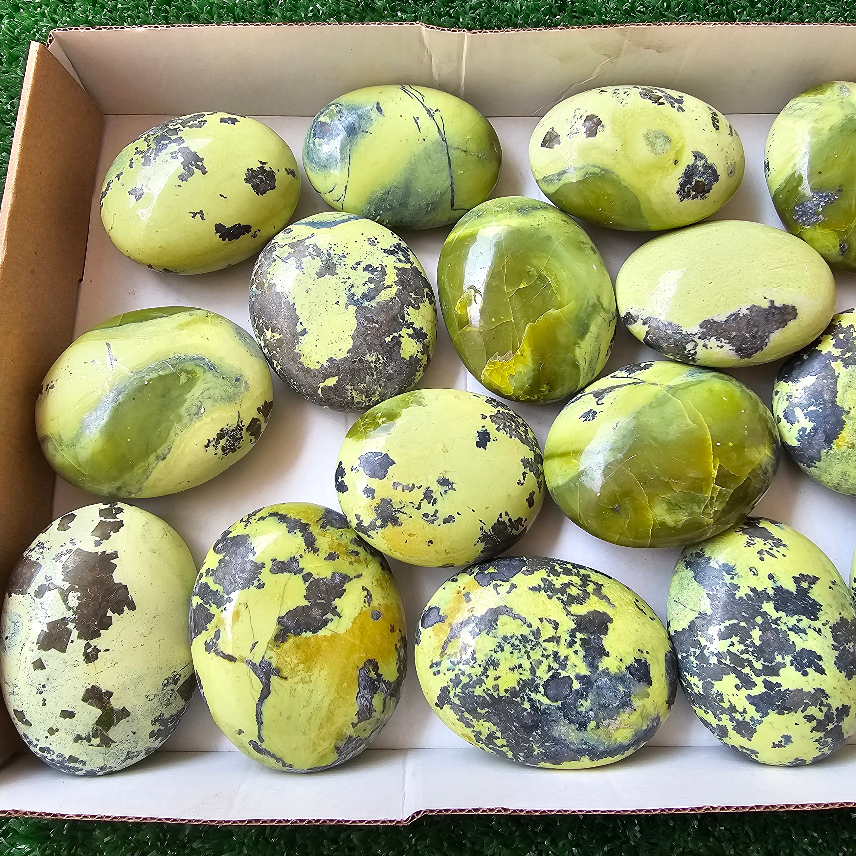 16 pc green serpentine palms