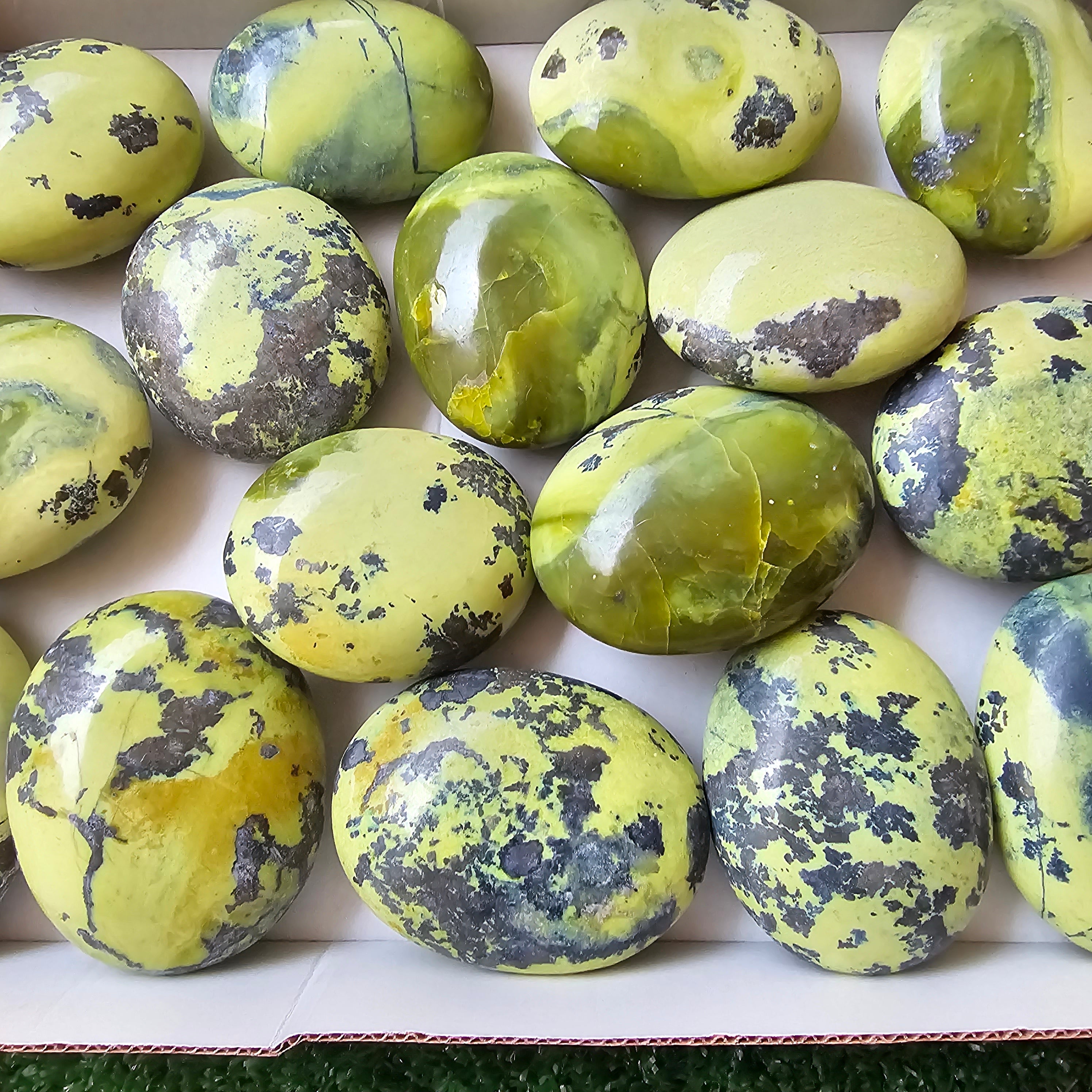 16 pc green serpentine palms