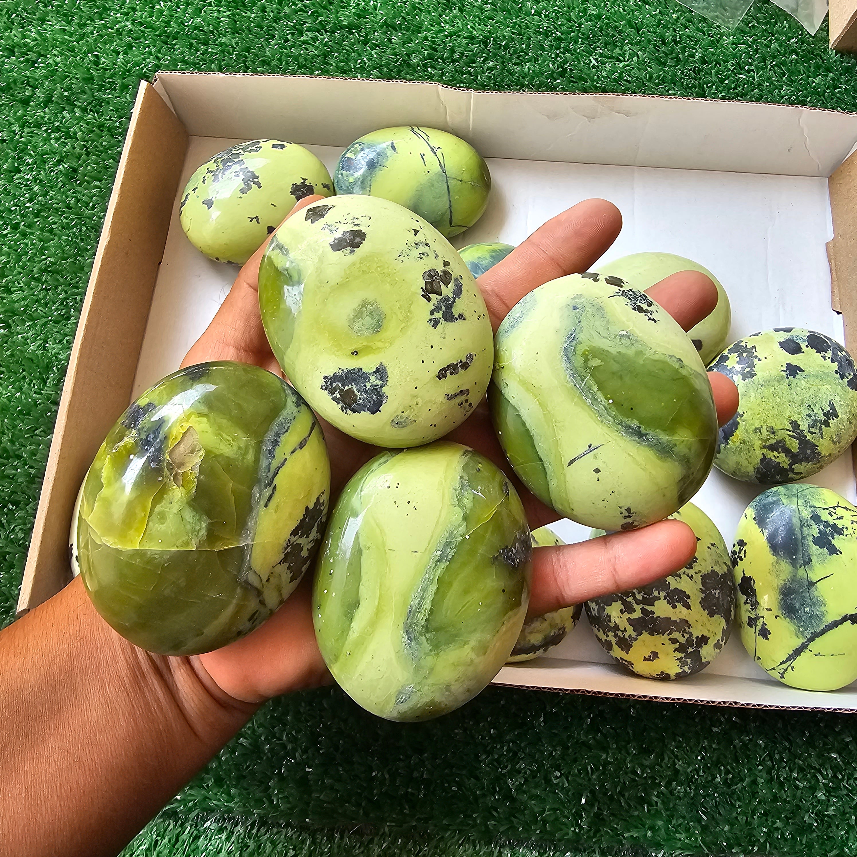 16 pc green serpentine palms