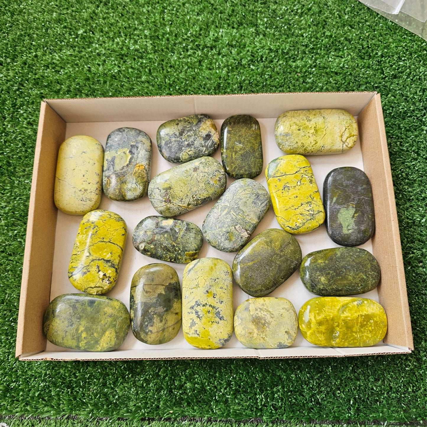 18 pc green serpentine palms