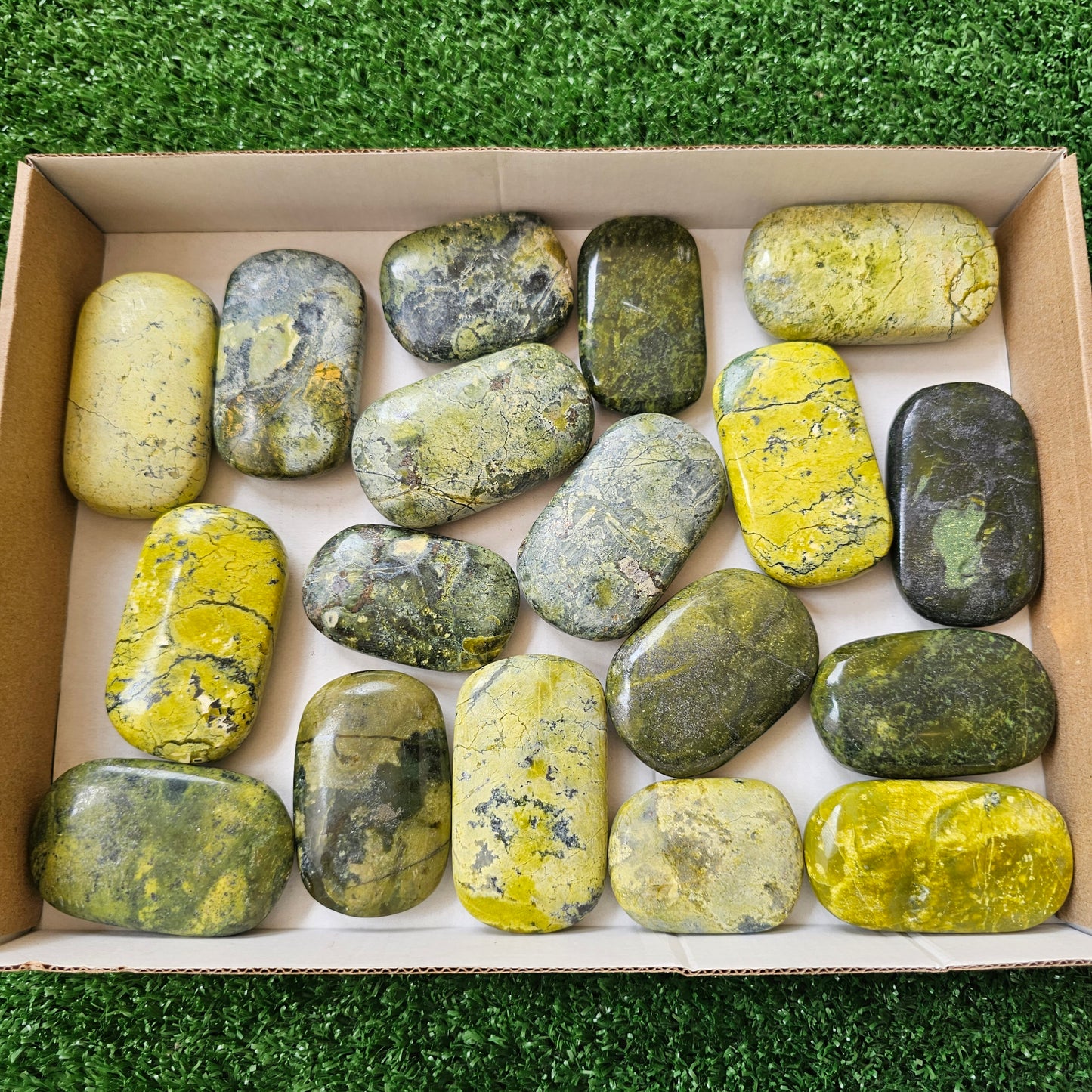 18 pc green serpentine palms