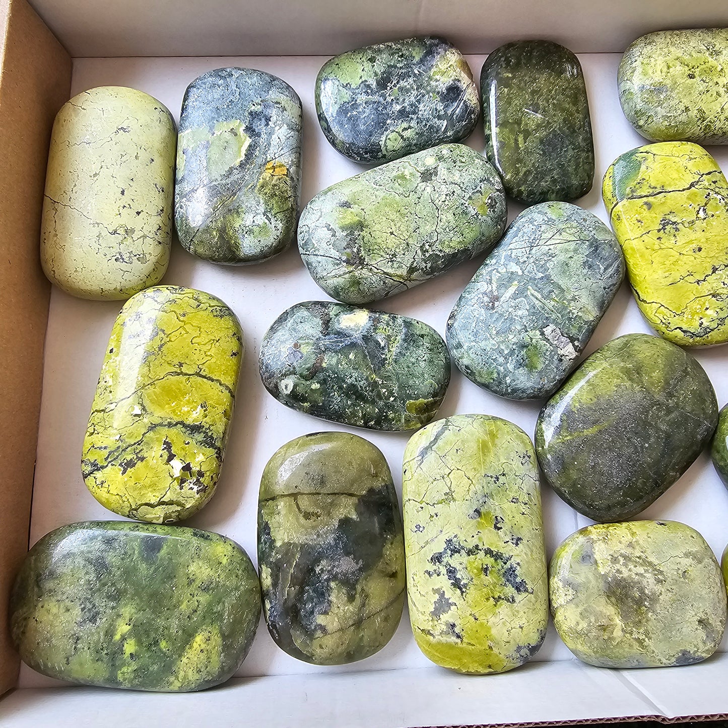 18 pc green serpentine palms