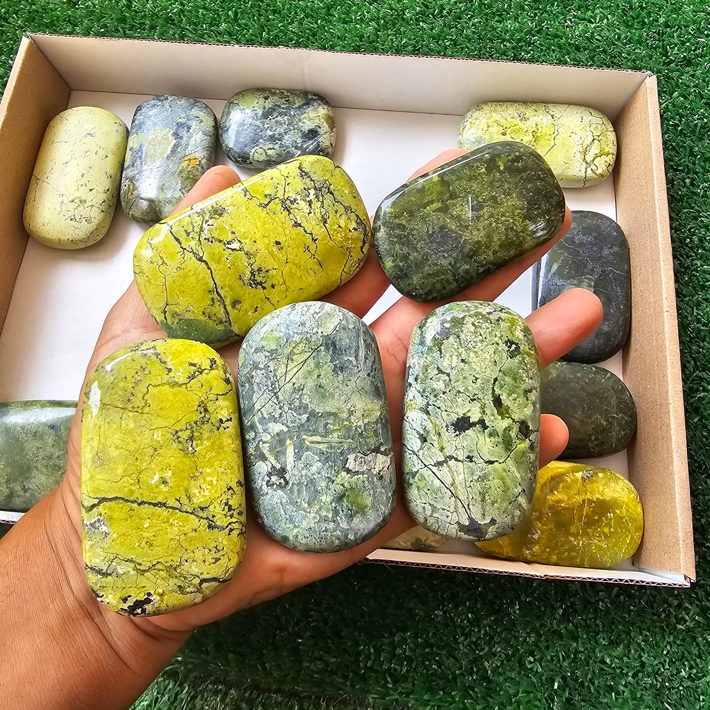 18 pc green serpentine palms