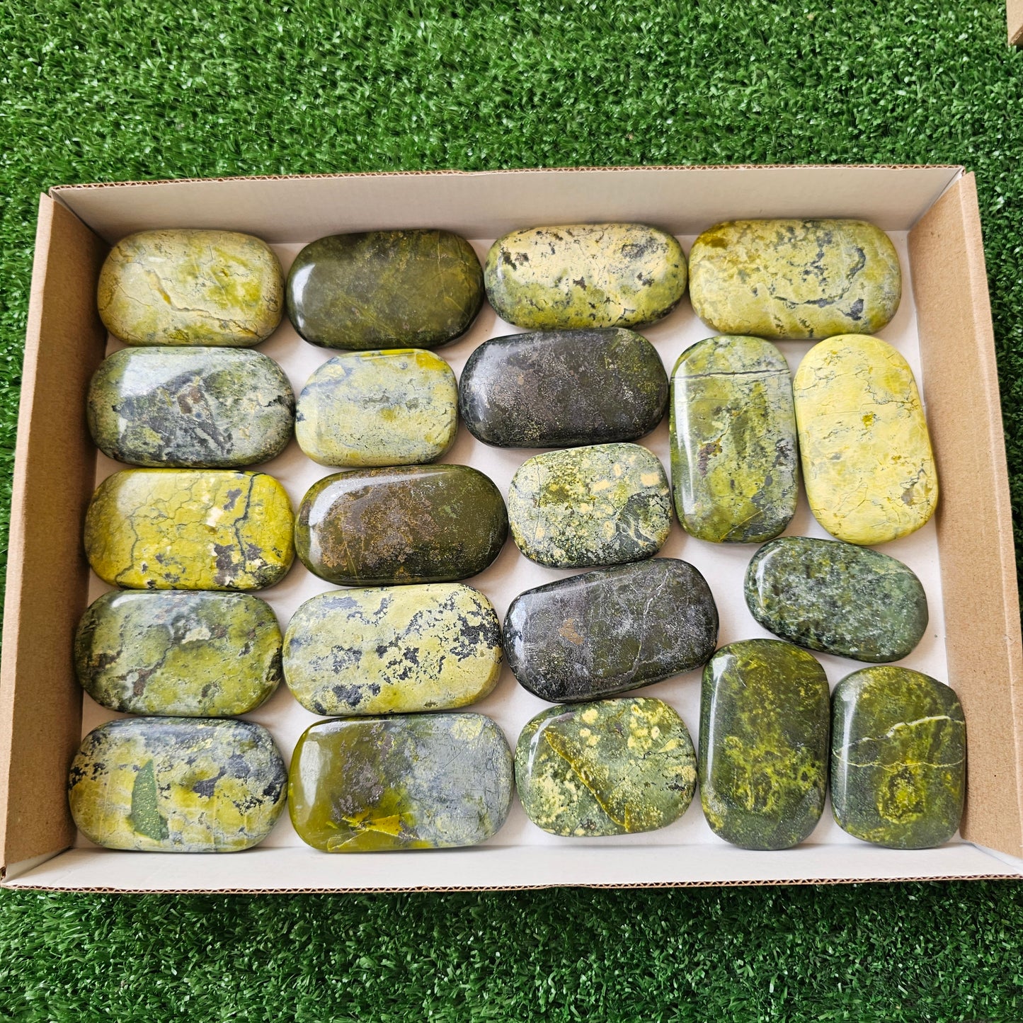 21 pc green serpentine palms