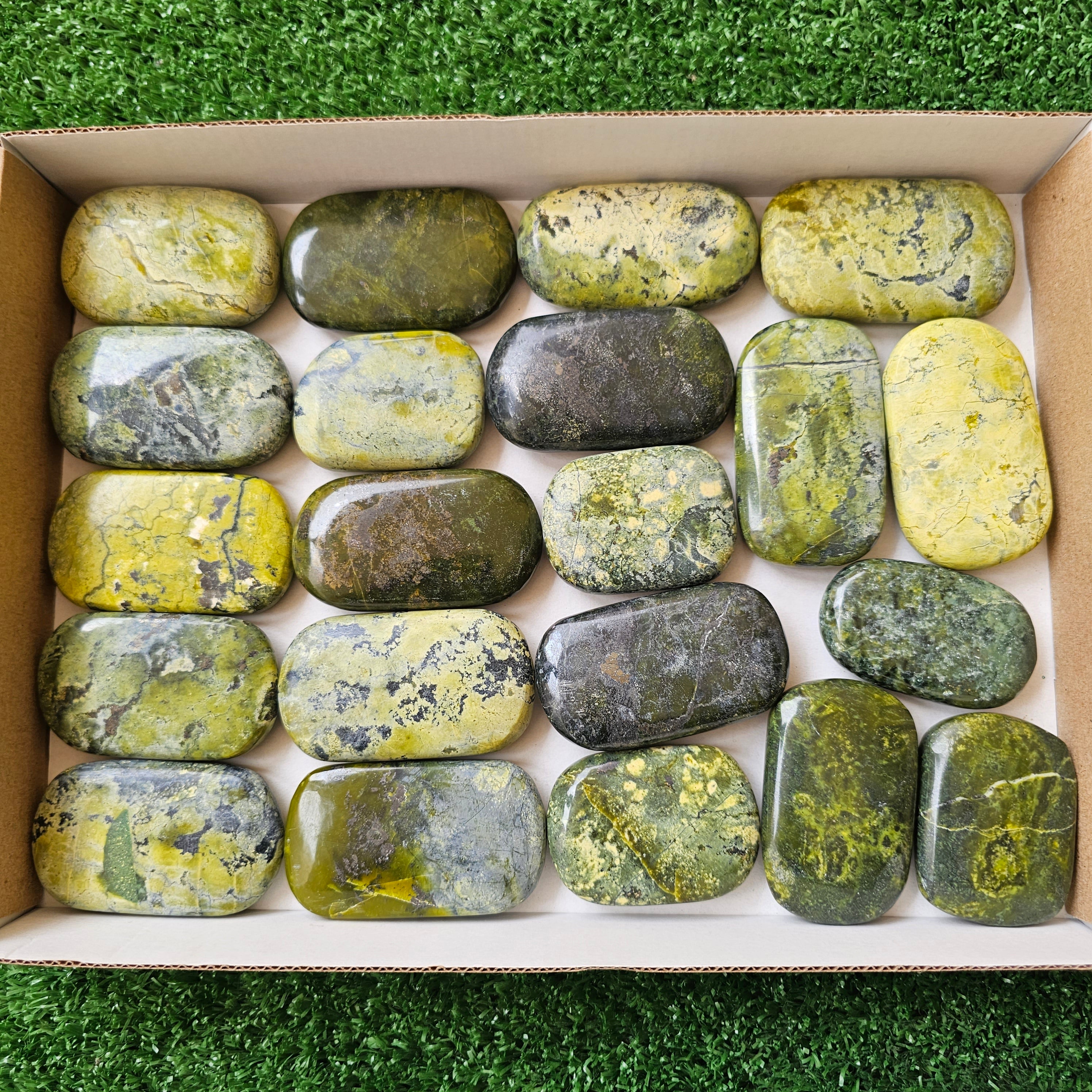 21 pc green serpentine palms