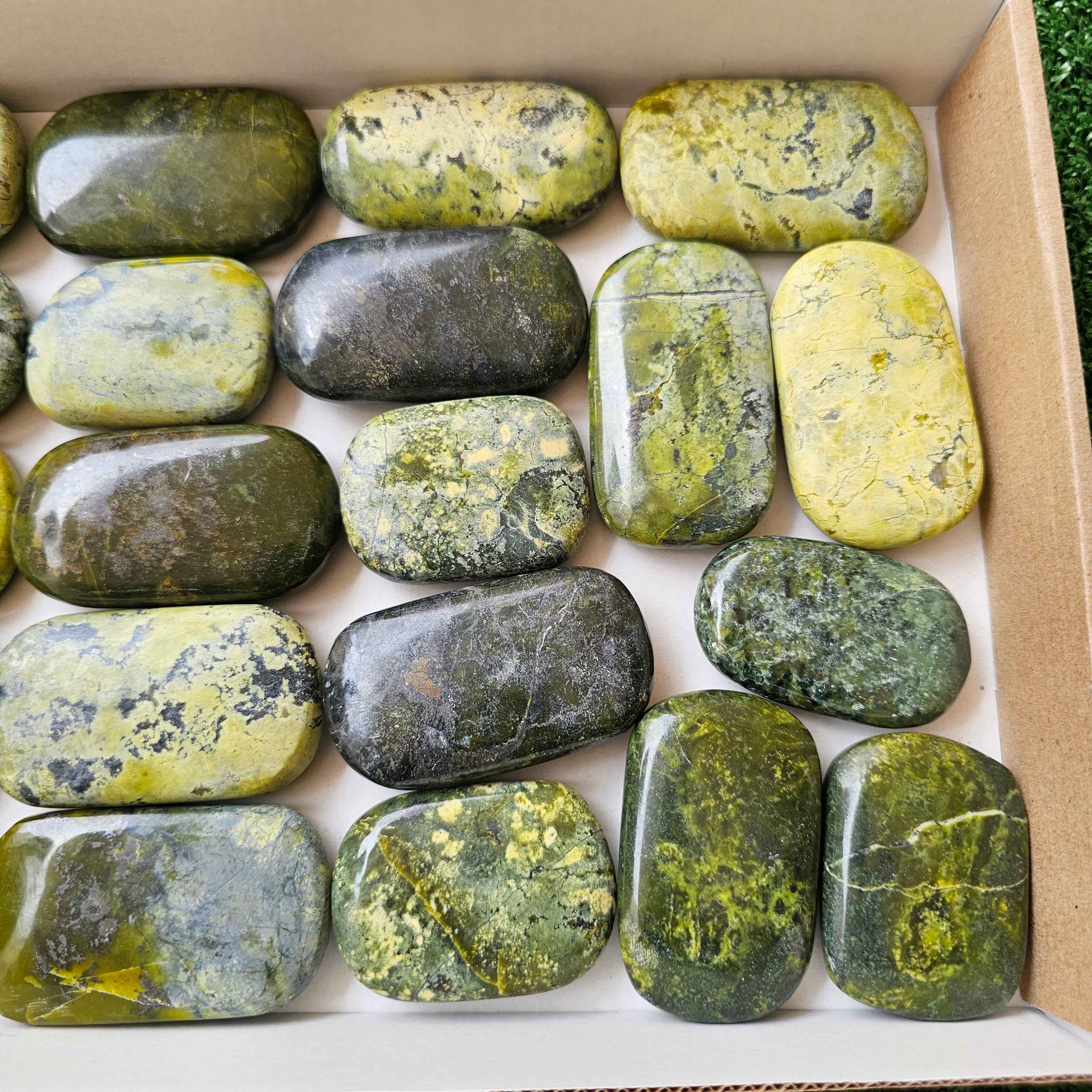 21 pc green serpentine palms