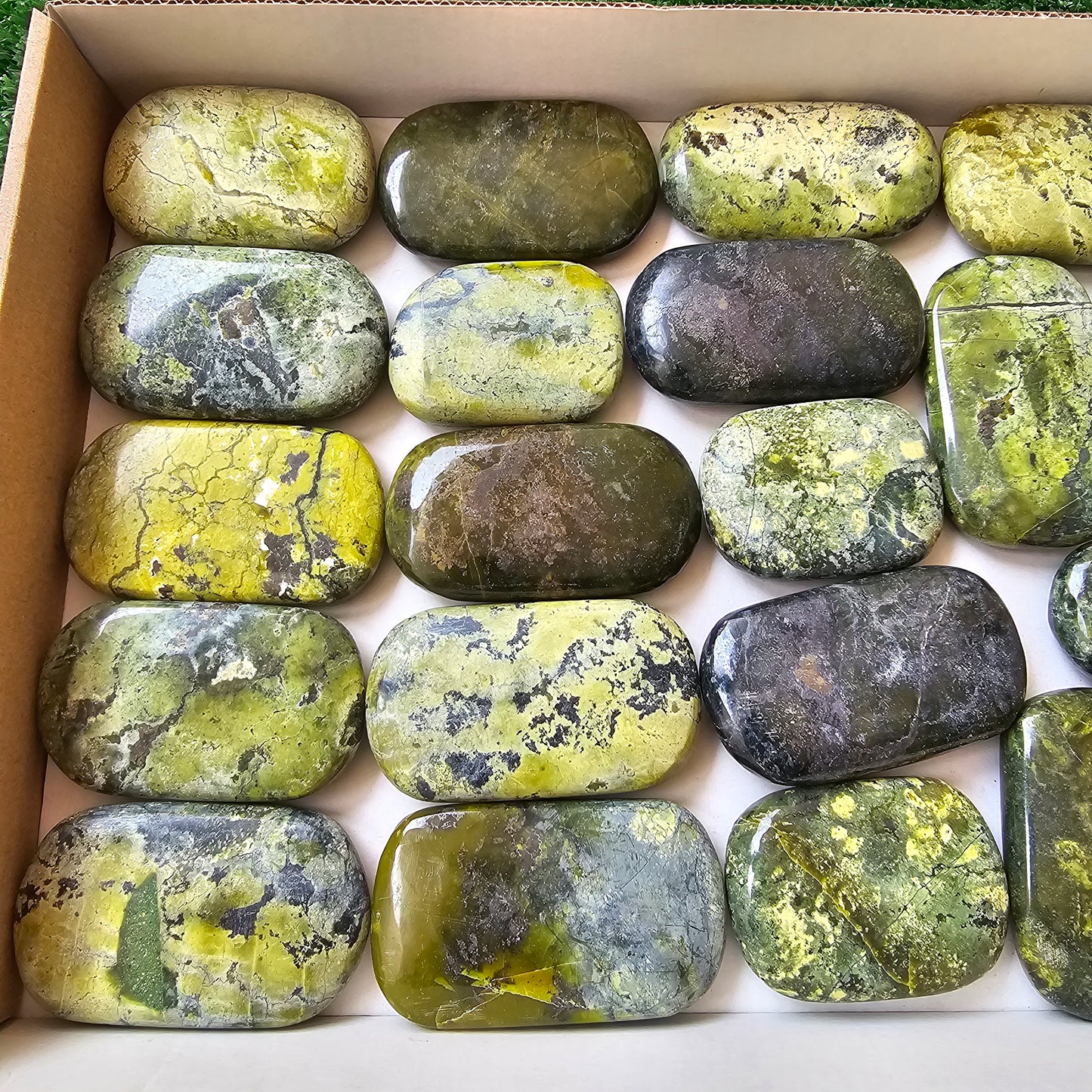 21 pc green serpentine palms