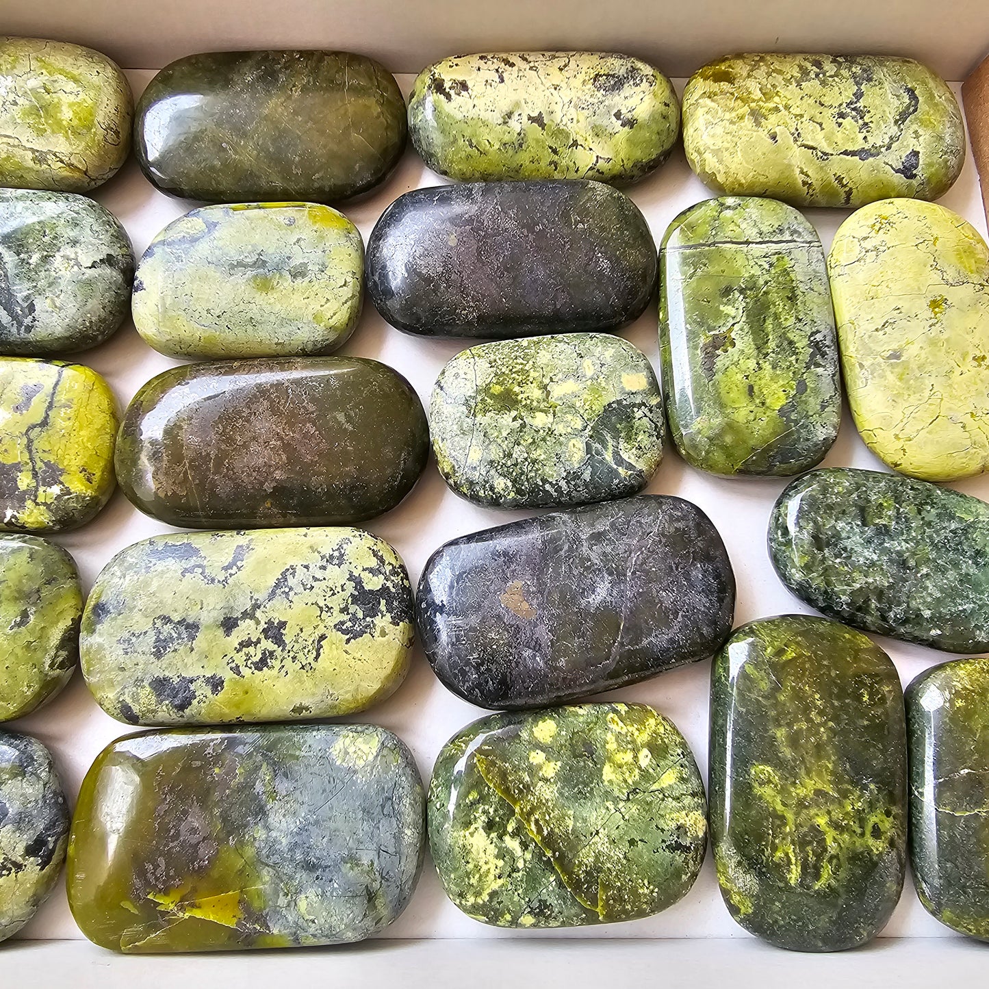 21 pc green serpentine palms