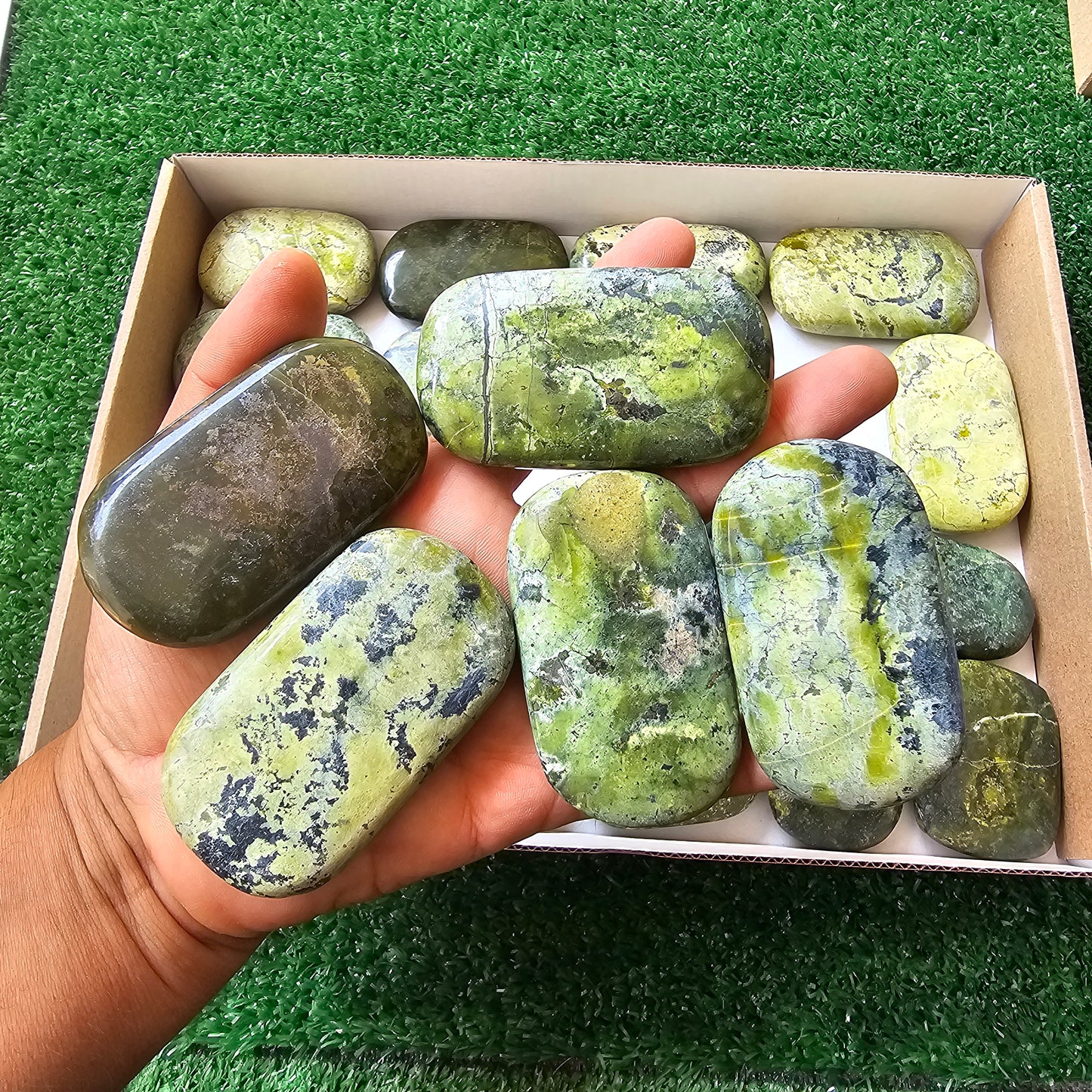 21 pc green serpentine palms
