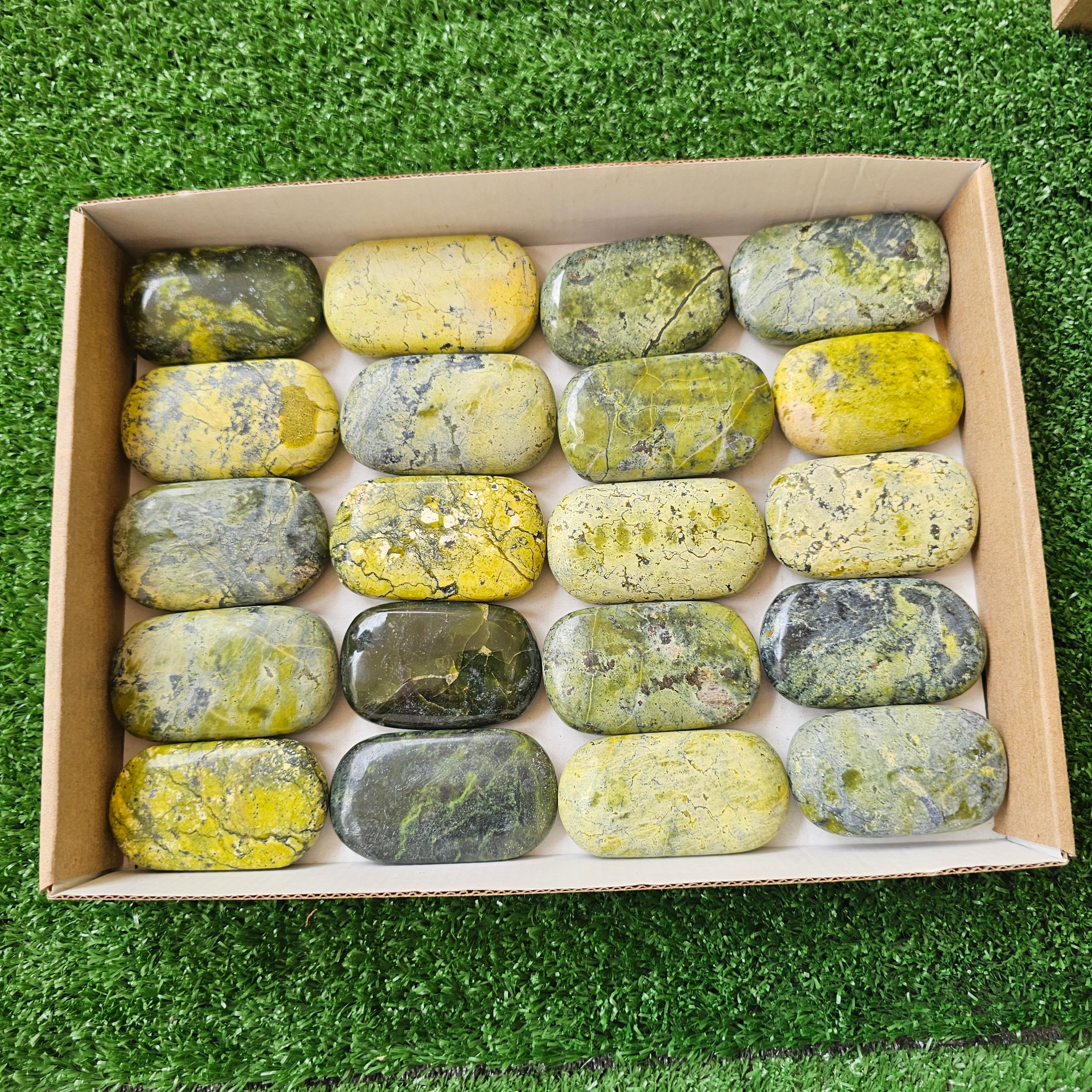 20 pc green serpentine palms