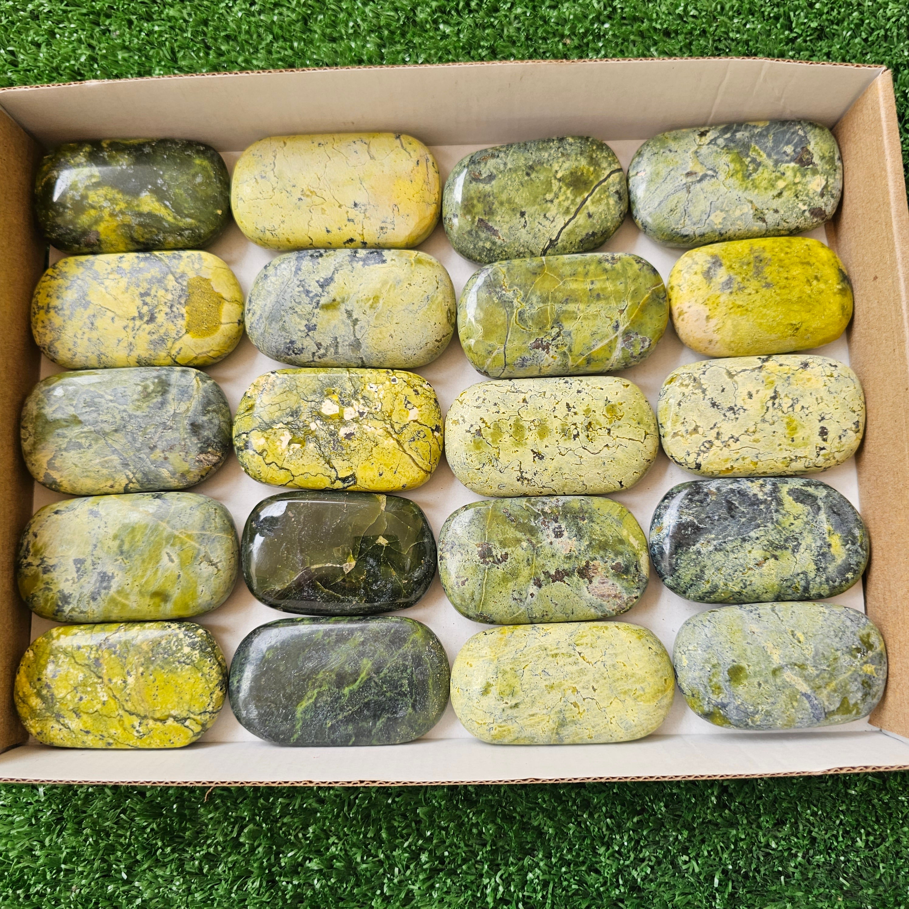 20 pc green serpentine palms