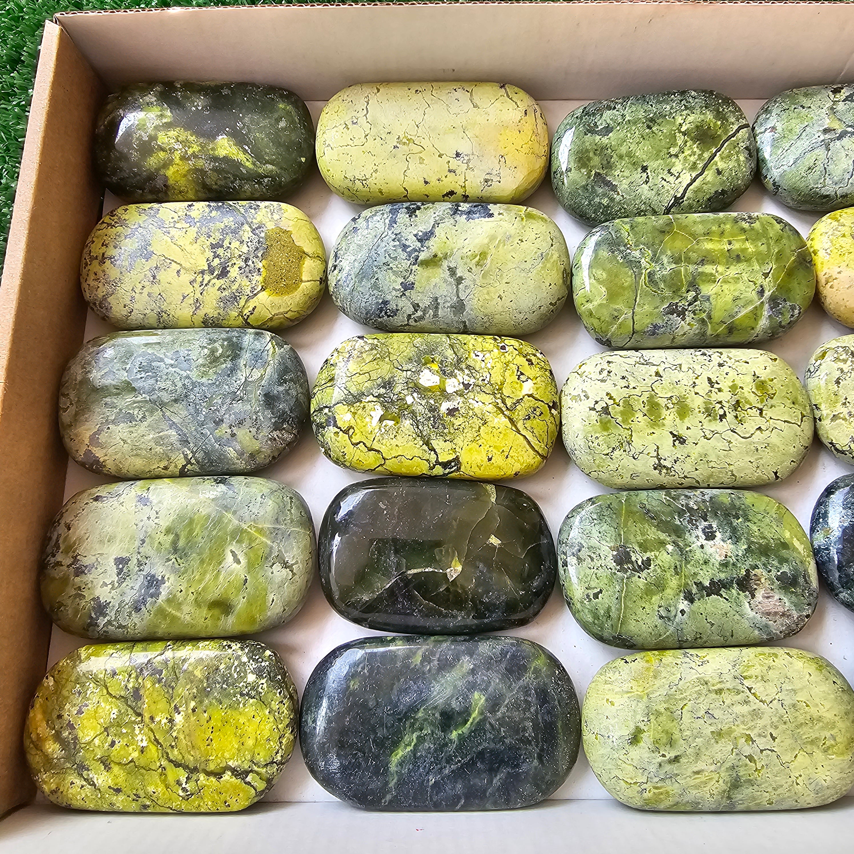 20 pc green serpentine palms