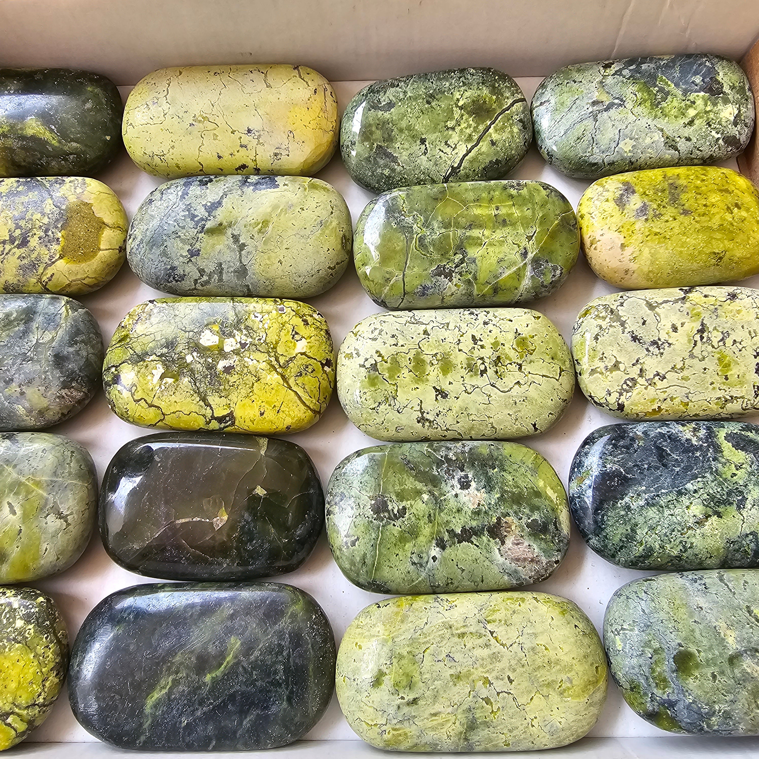 20 pc green serpentine palms