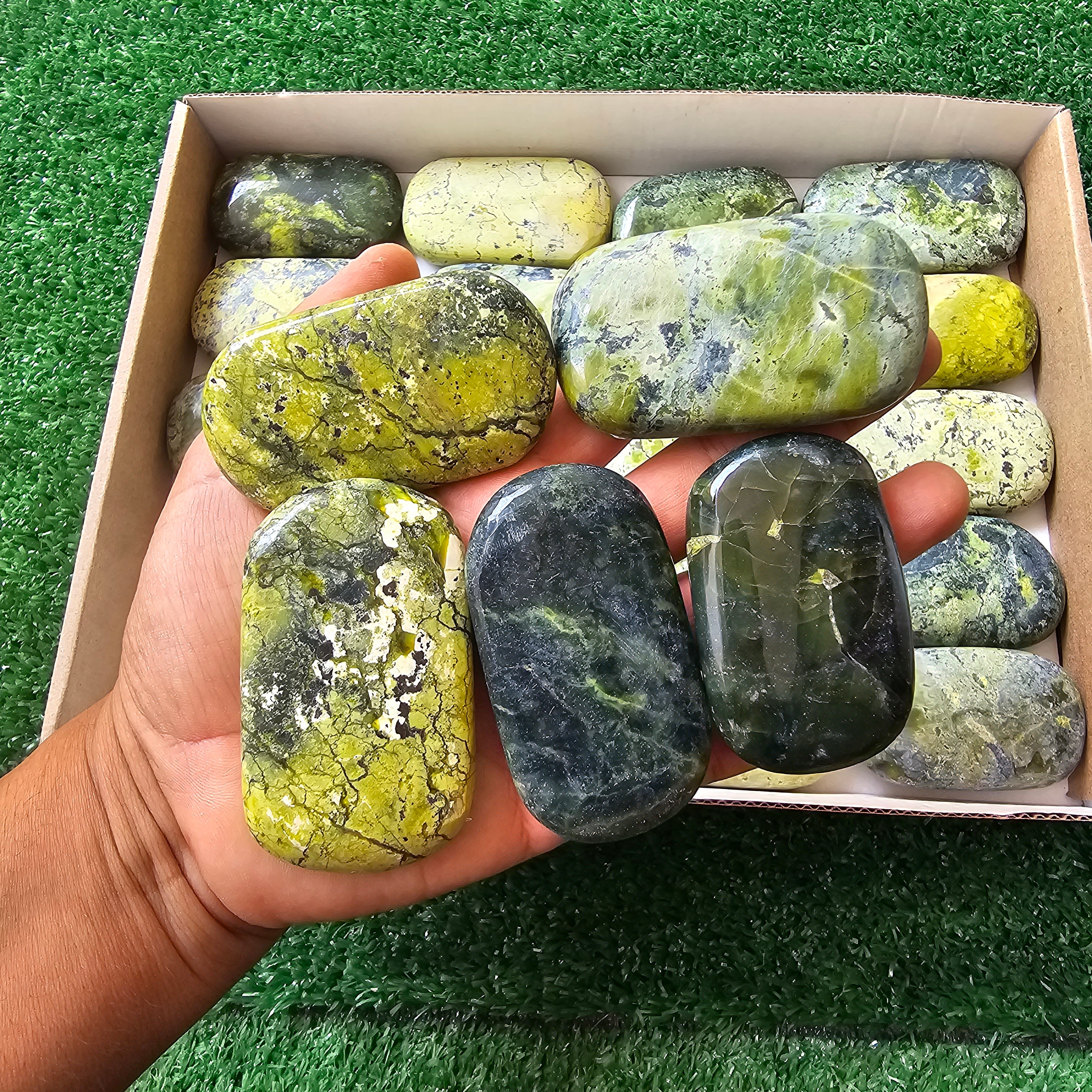 20 pc green serpentine palms