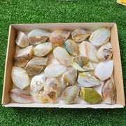 25 pc blue opal flames