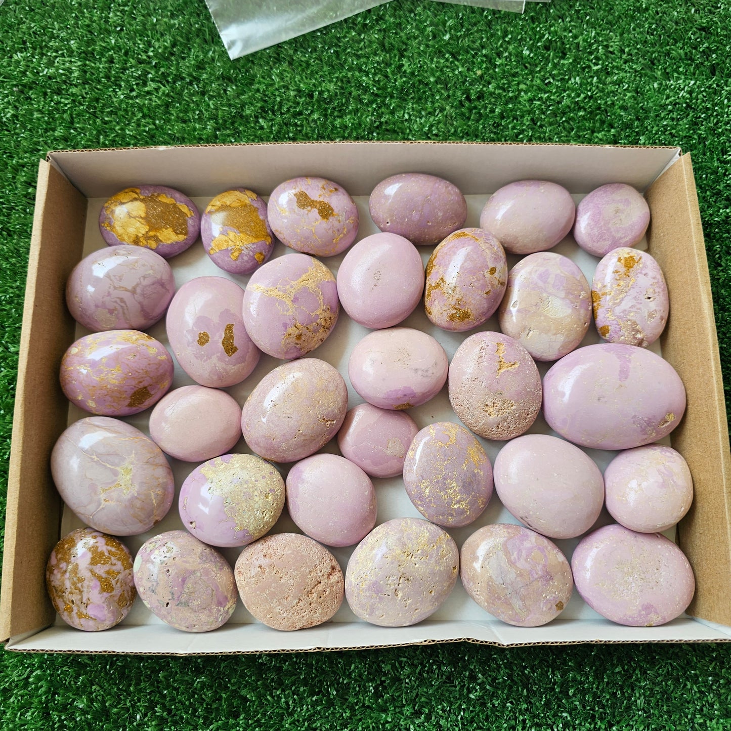32 pc phosphosiderite palms