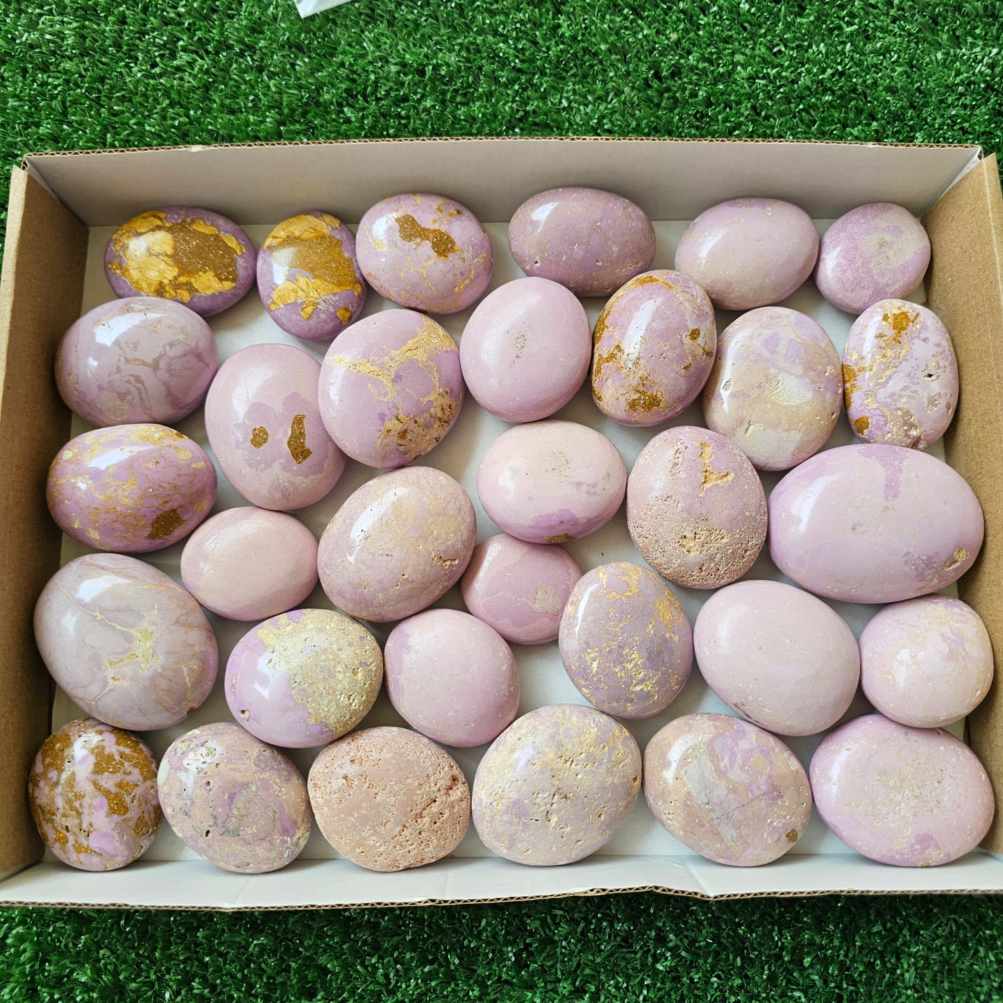 32 pc phosphosiderite palms